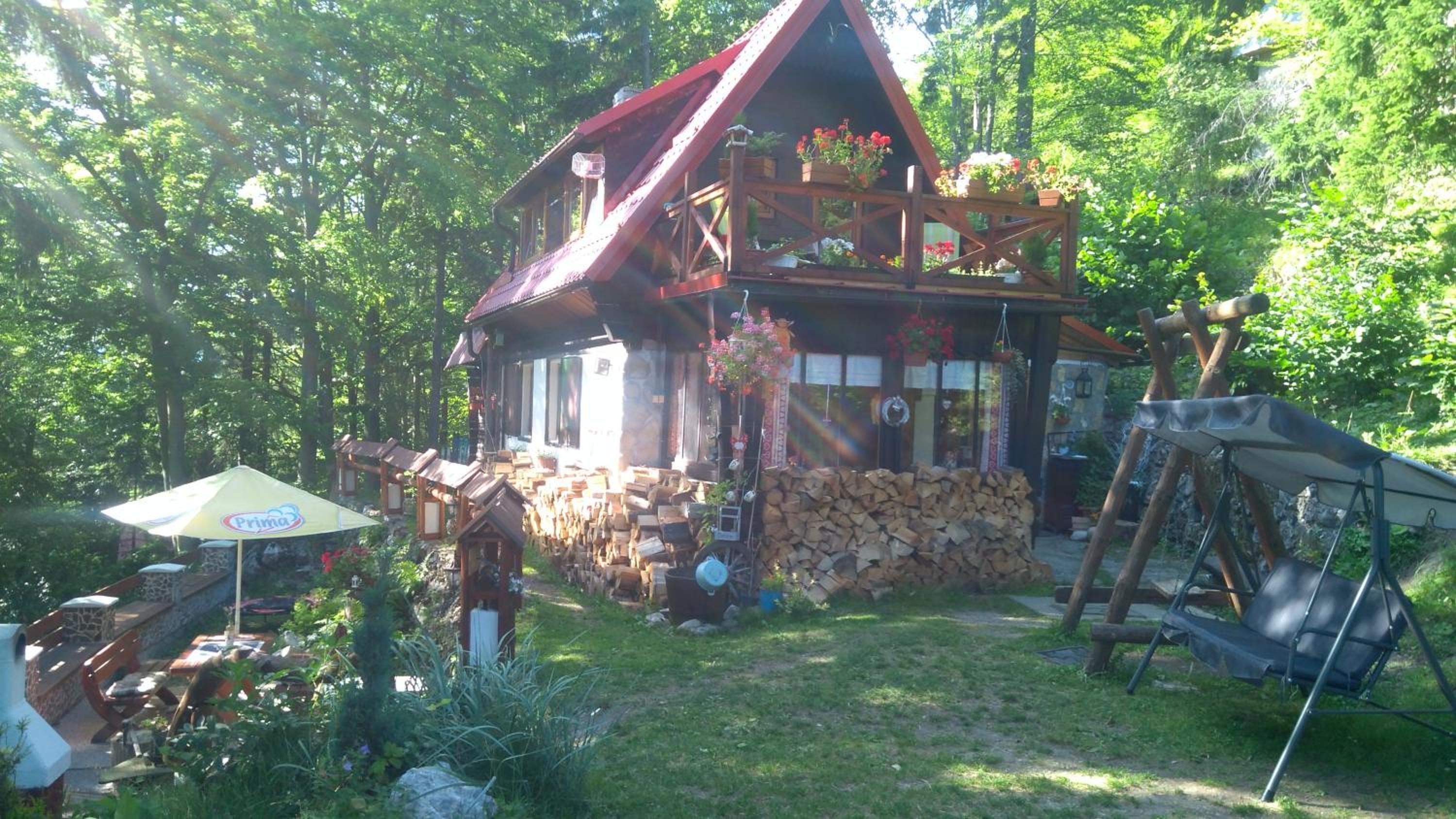 Photo 6