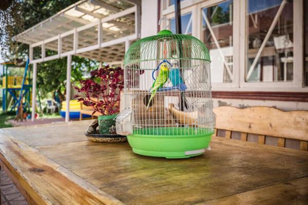 İvanovka İnn & Cafe Family-Friendly Halal