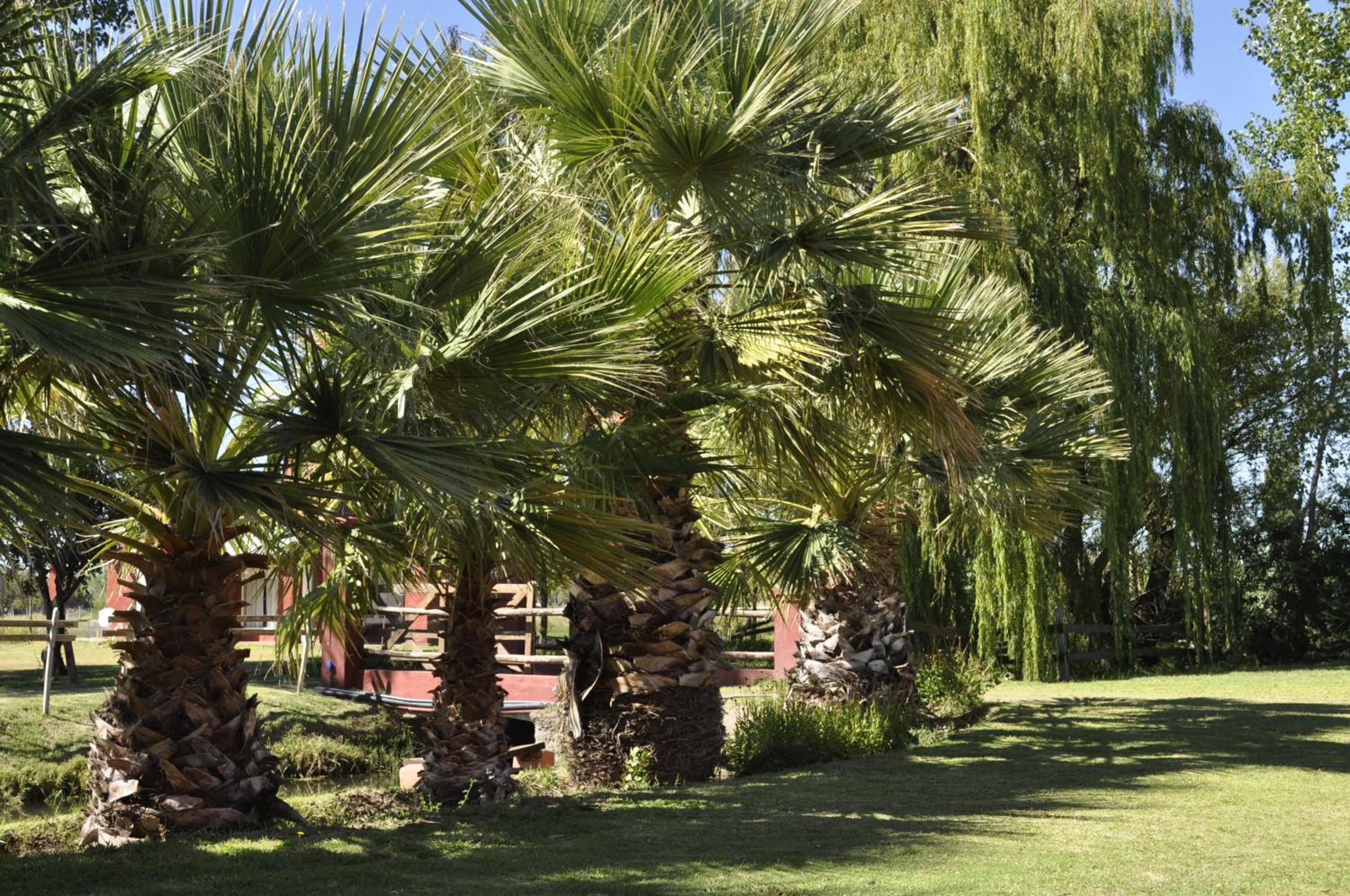 Finca Silvestre