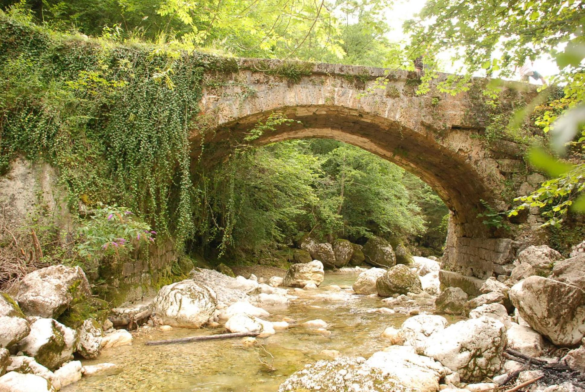 Photo 48