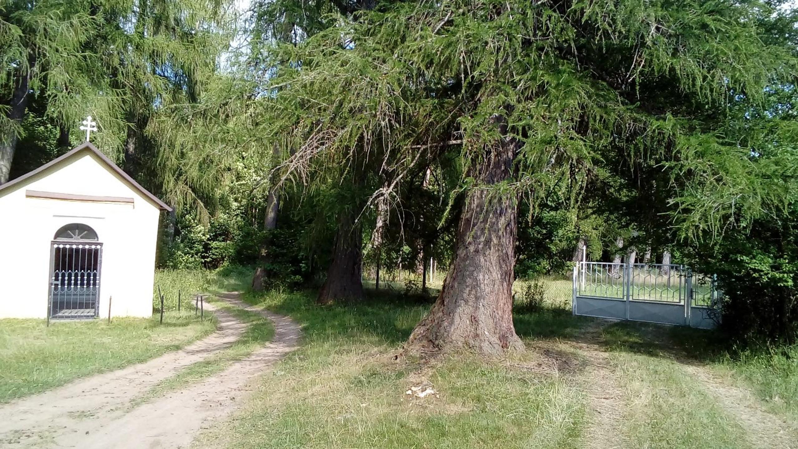 Ružová Vila