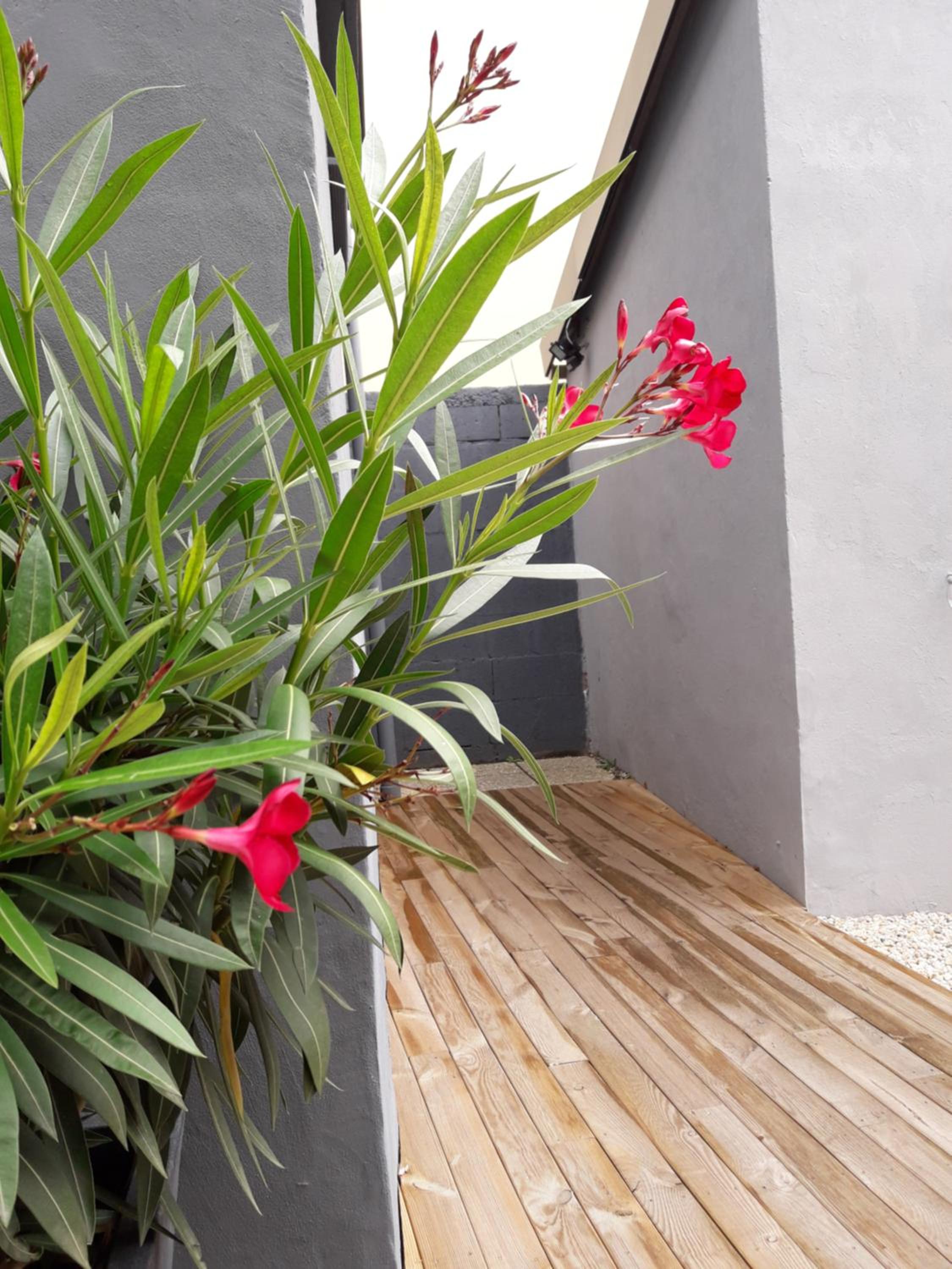 Les Appartements du 104, photo 66