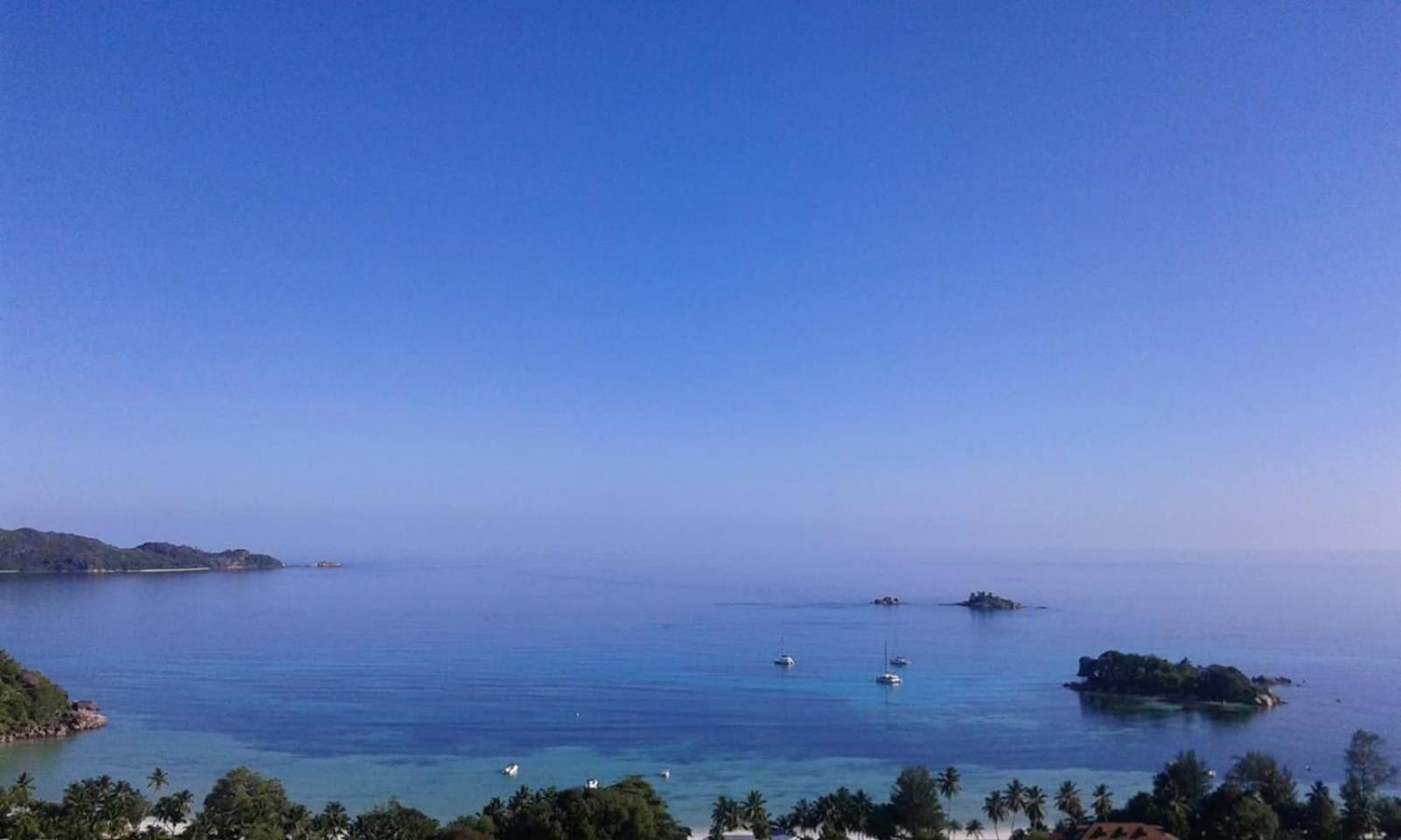 Mango Lodge, photo 20