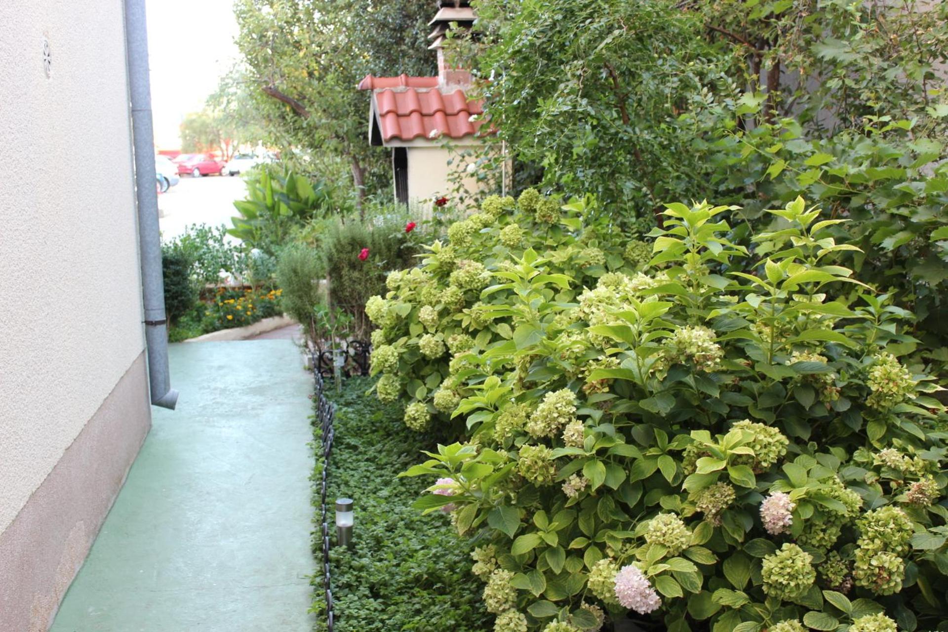 Photo 35