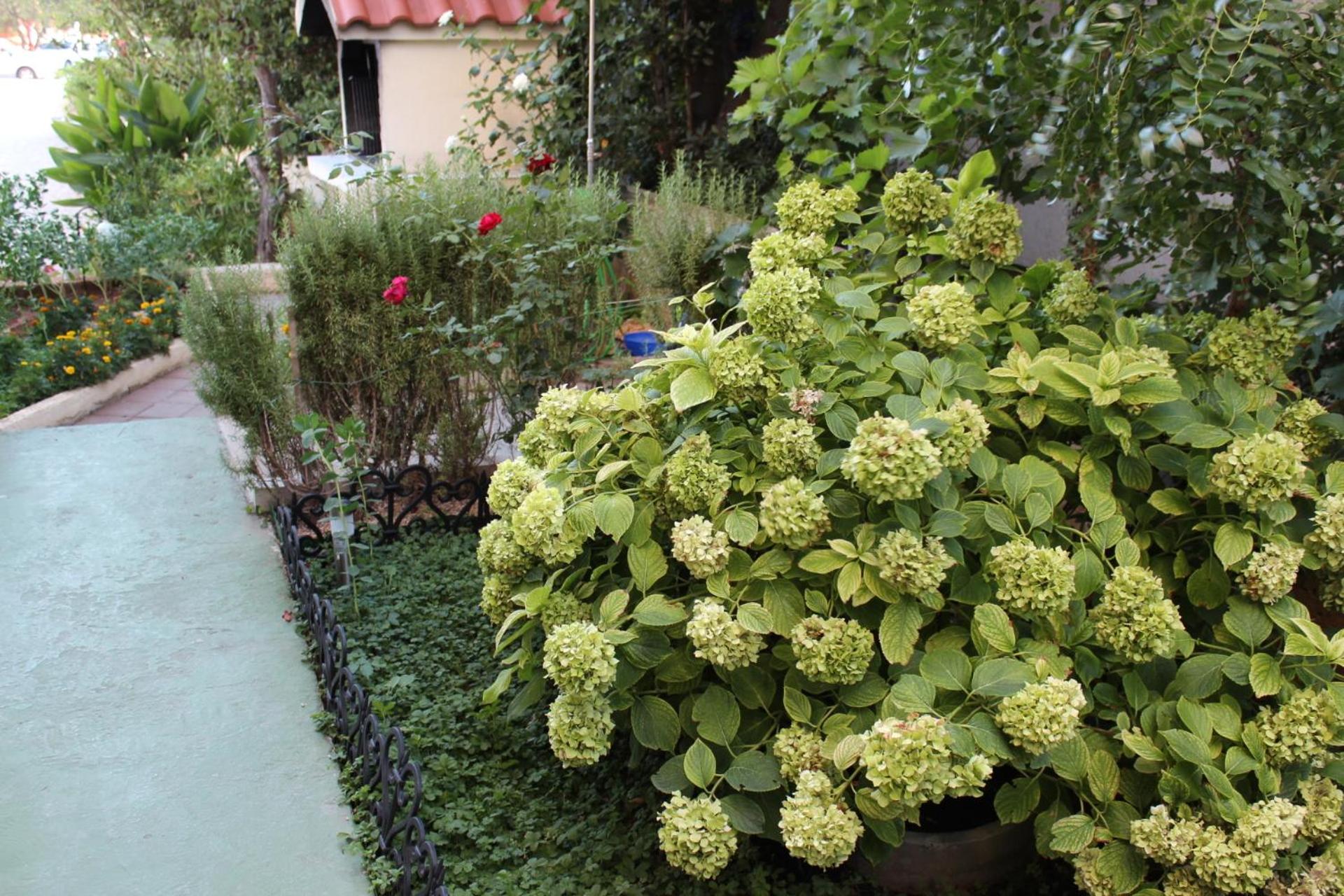 Photo 40