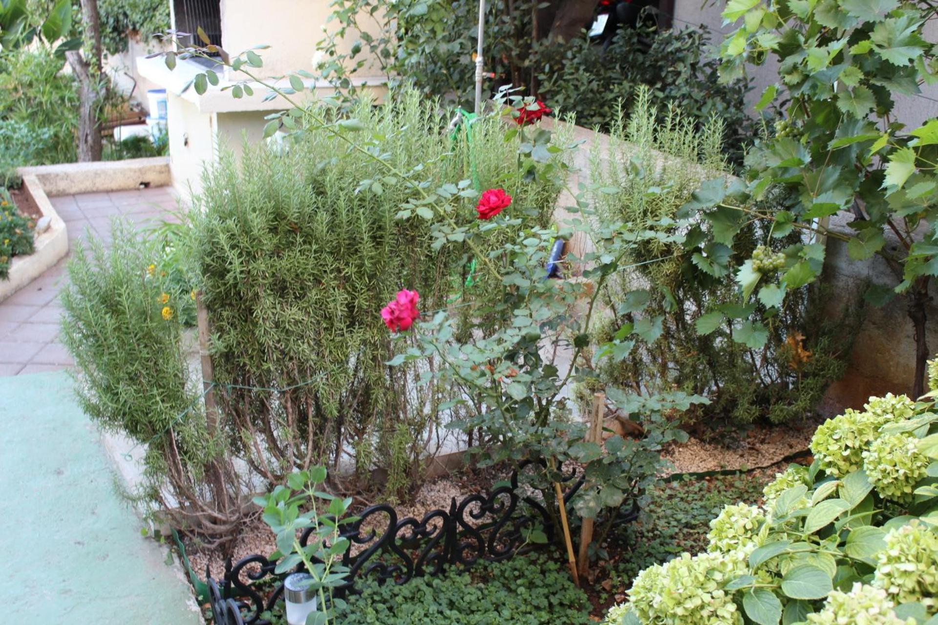 Photo 45