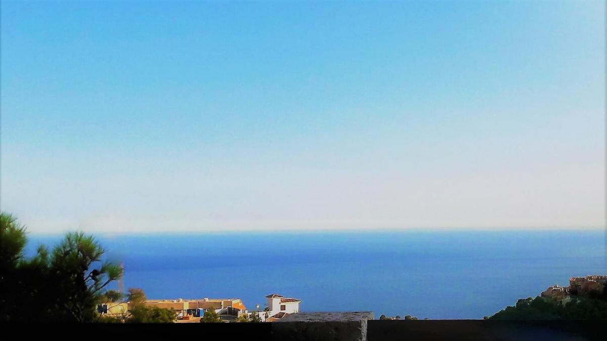 Altea Olivos G photo 4