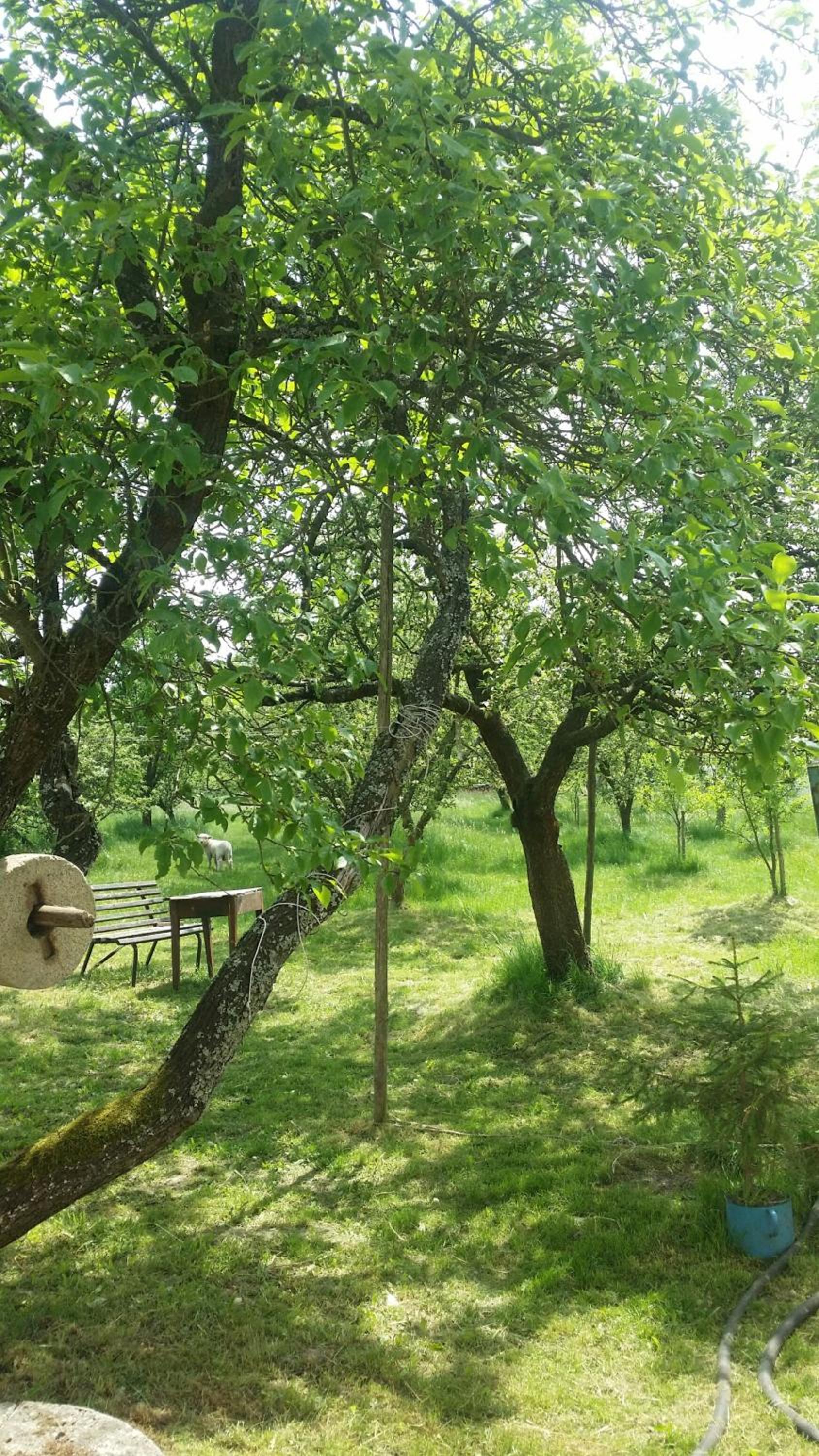 Safar residence