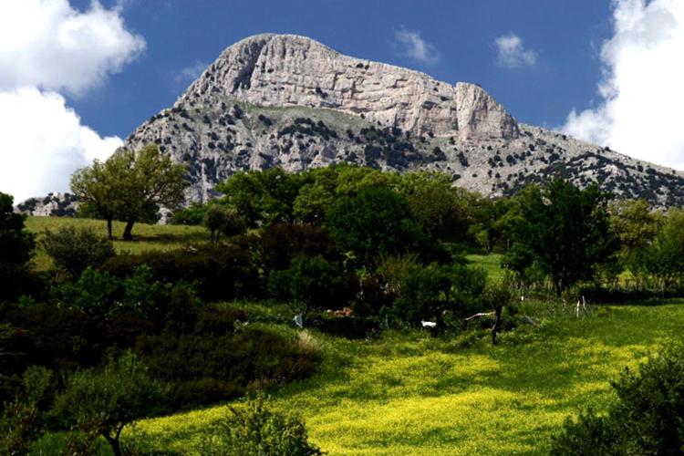 Bed And Breakfast Delle Grotte
