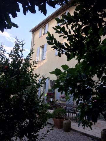 Photo 41