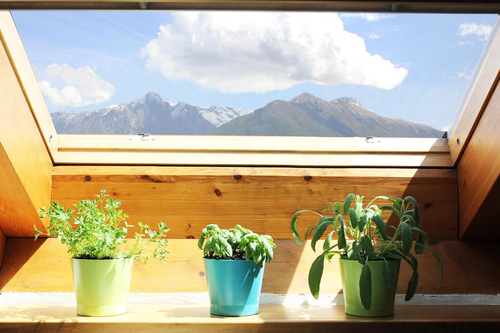"Il Cortile" Apartment view 3