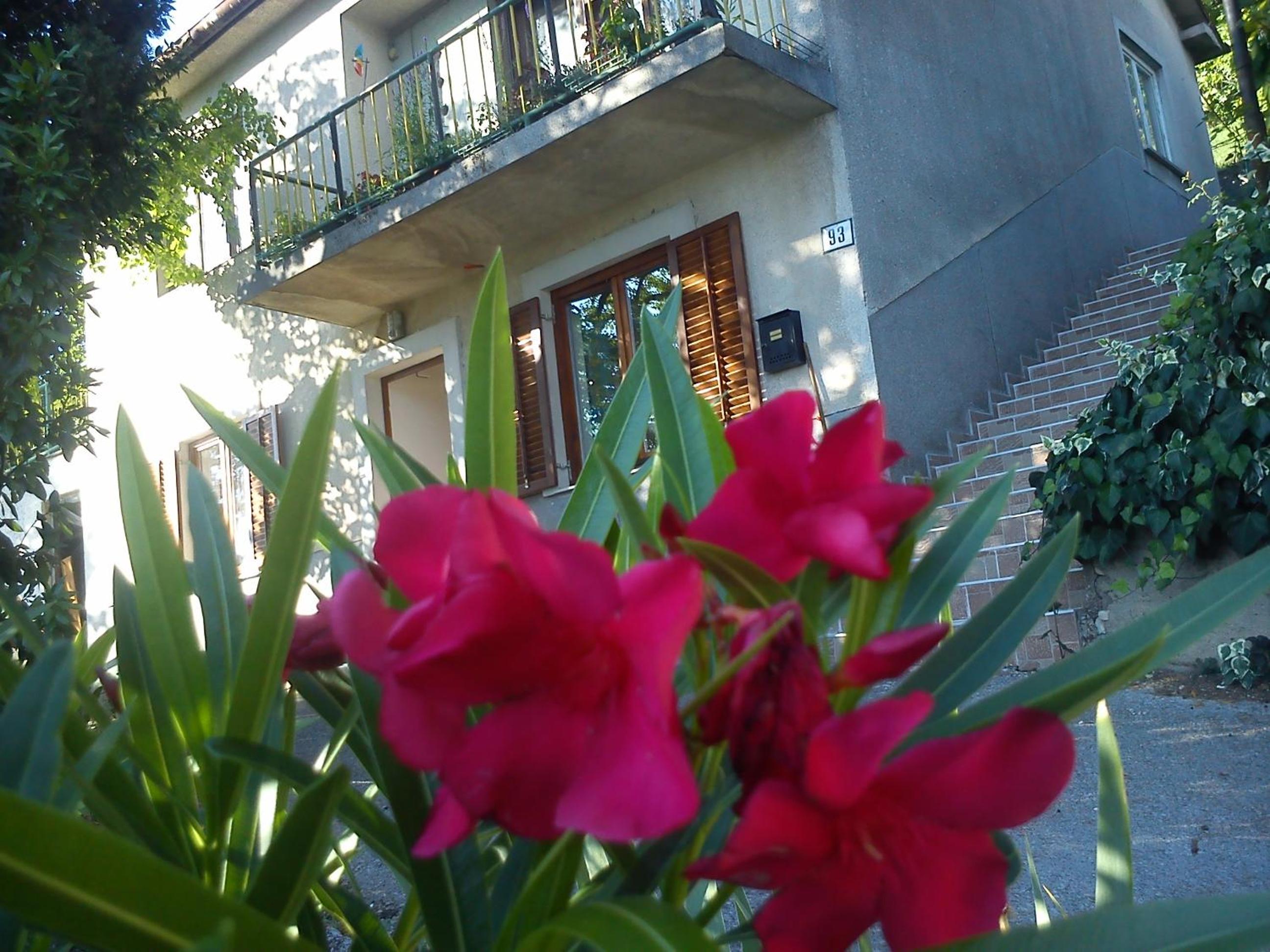 Apartman Svilno view 2