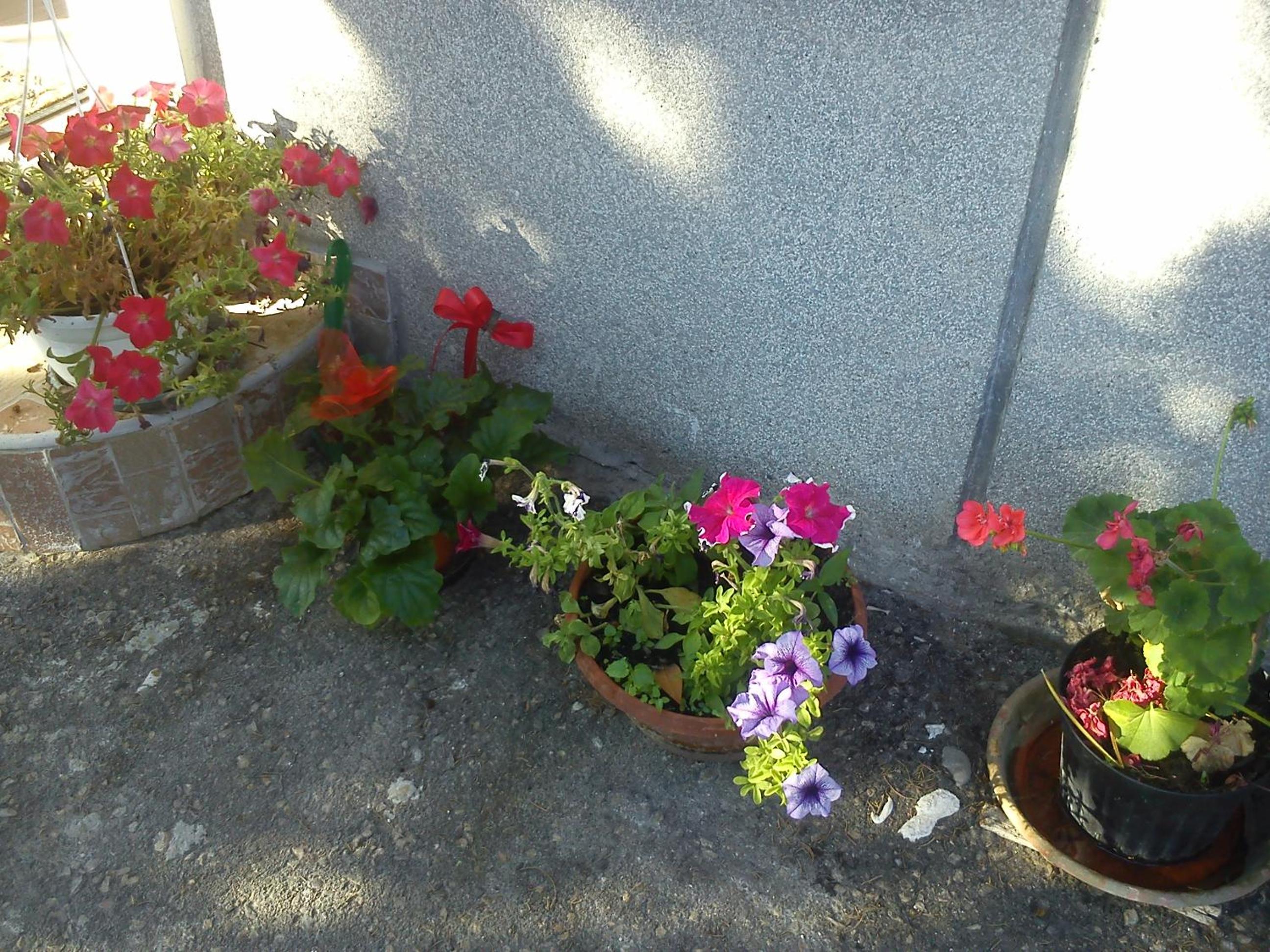 Photo 52