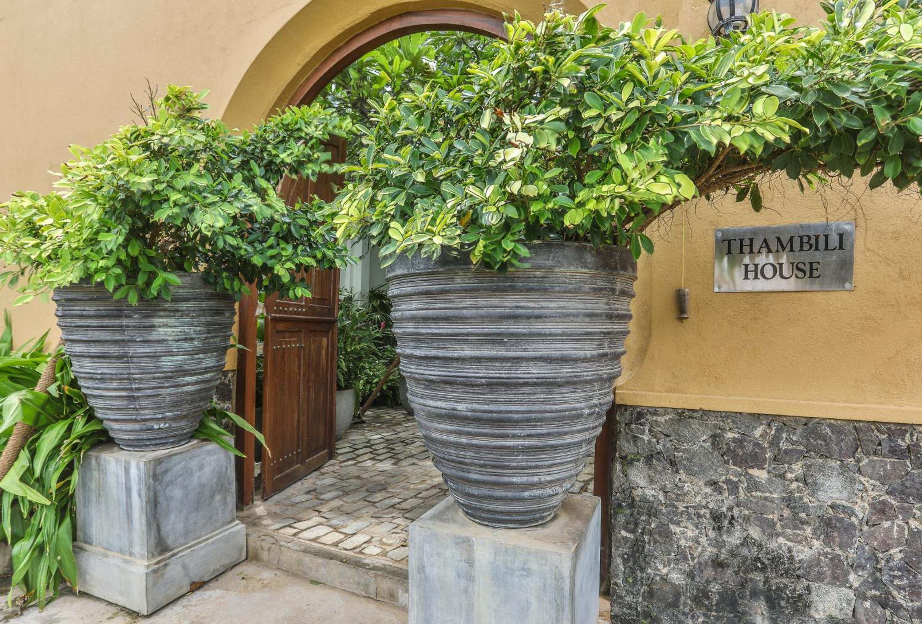 Hotel Thambili House Galle Fort by Edwards Collection - Image 1