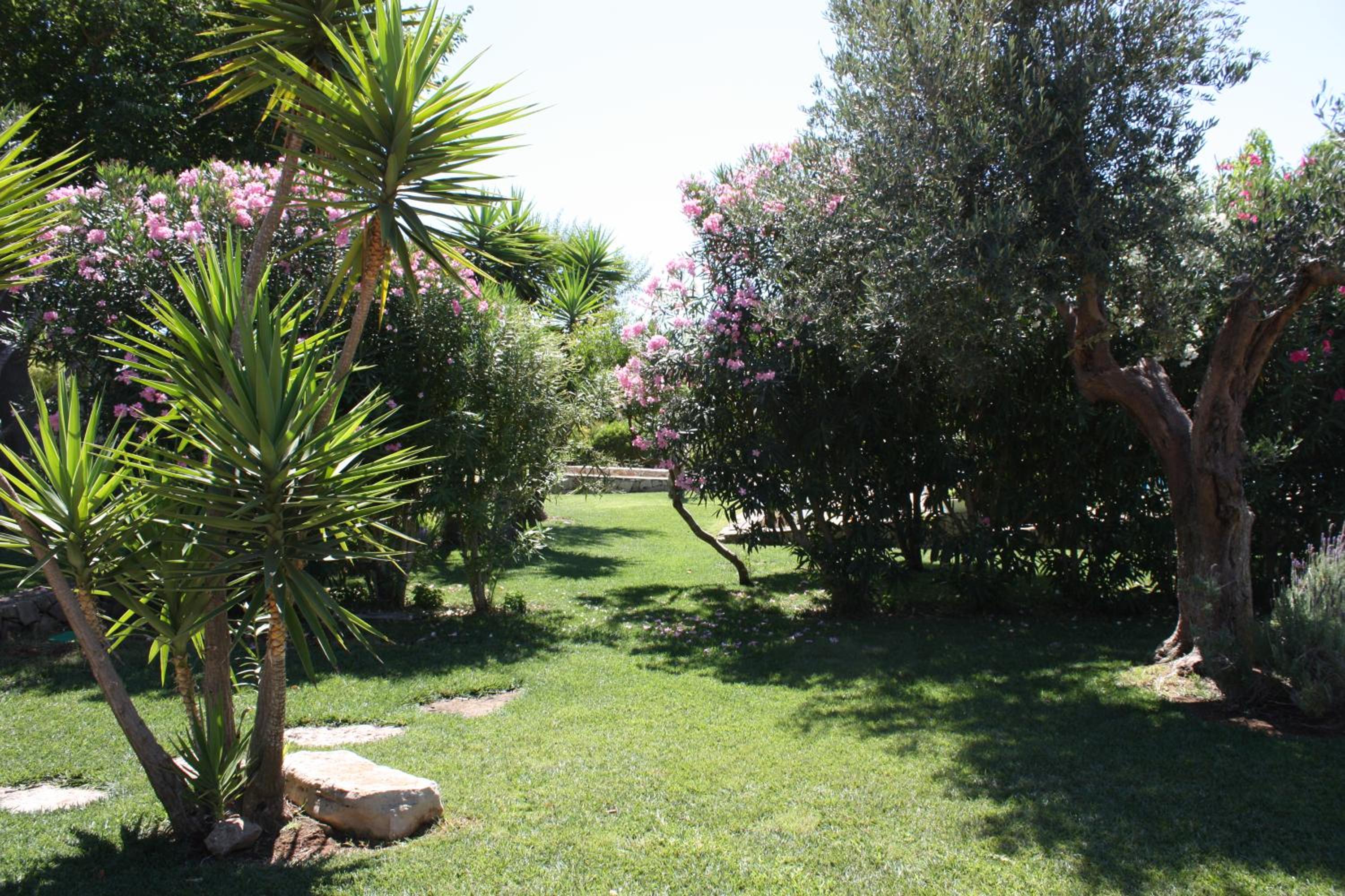 Photo 22