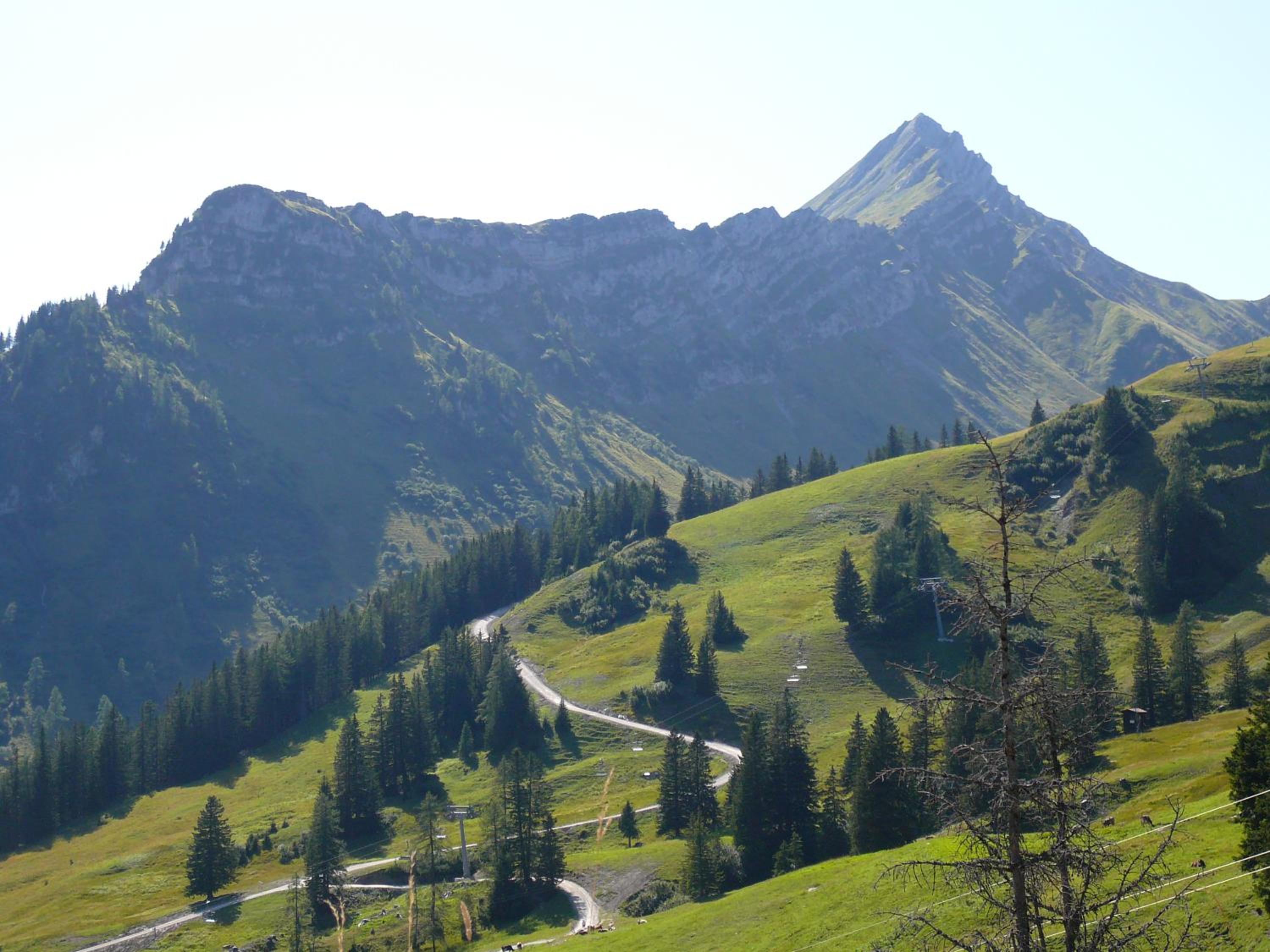 Haus Windegga