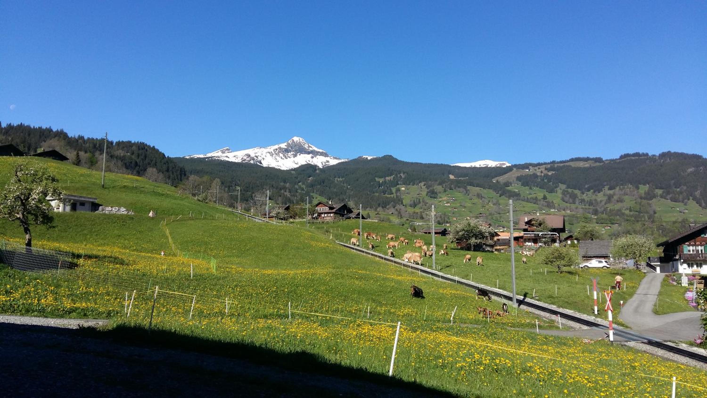 Chalet Bärgblick