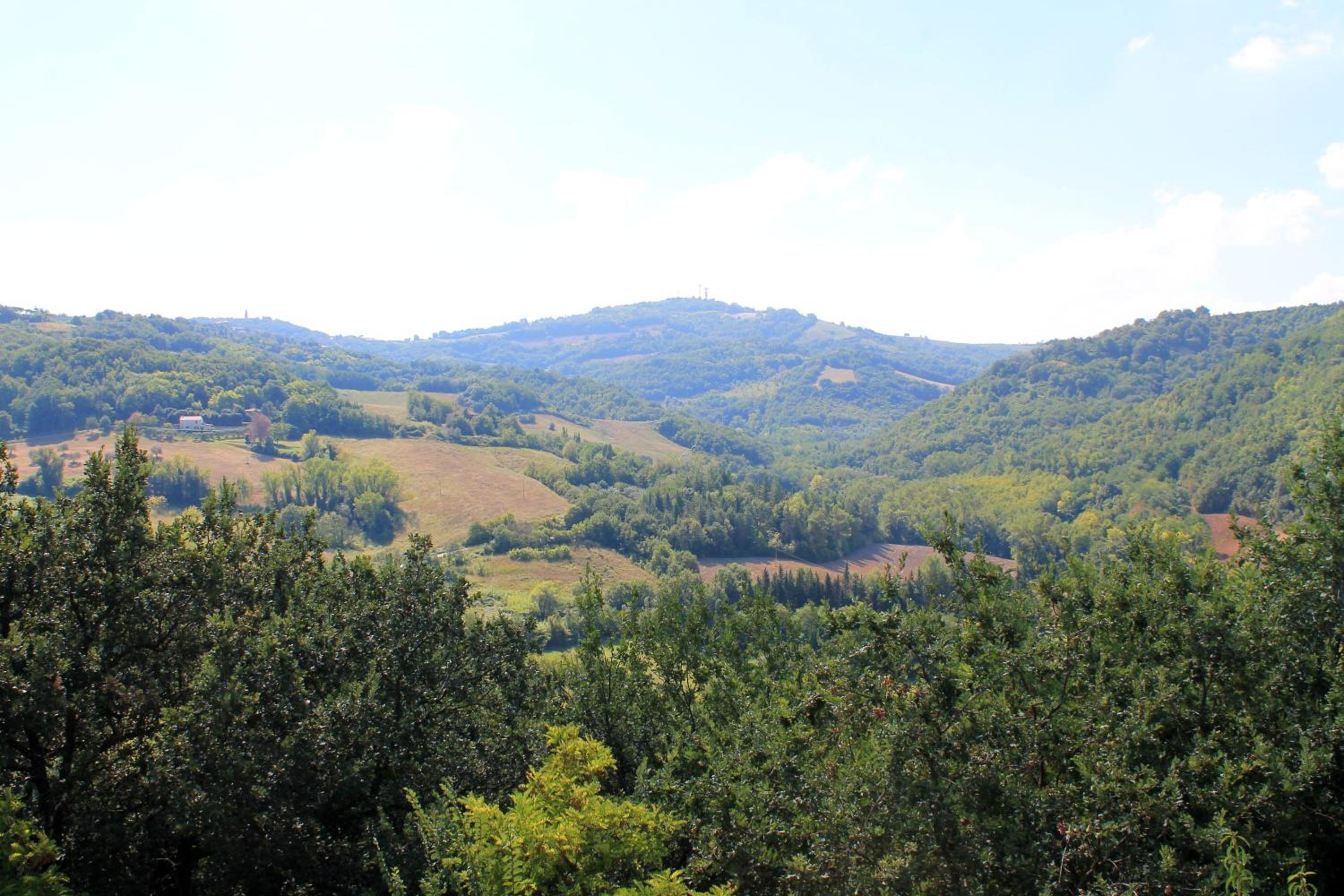 La Rupe del Falco view 2