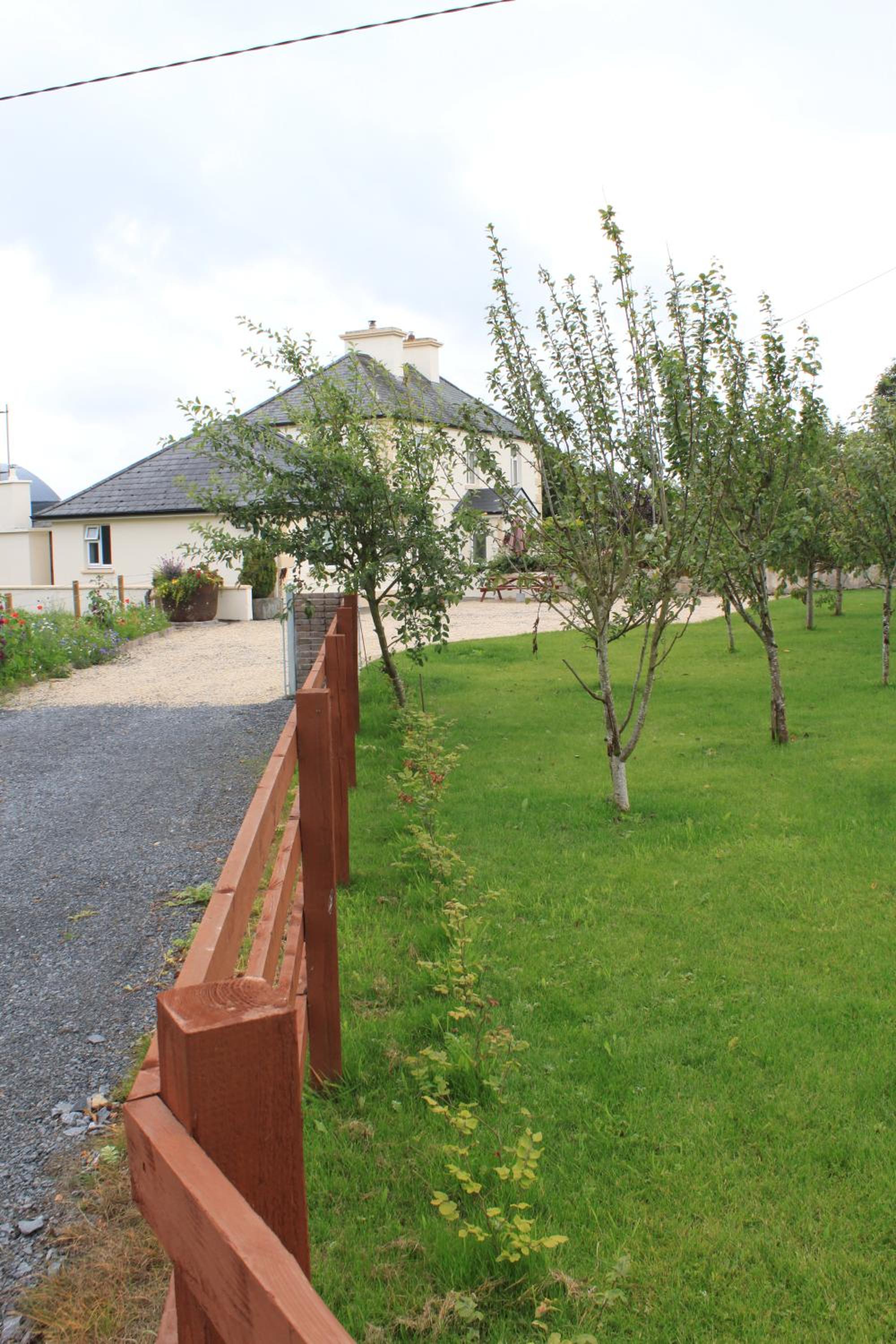Harry's House view 2