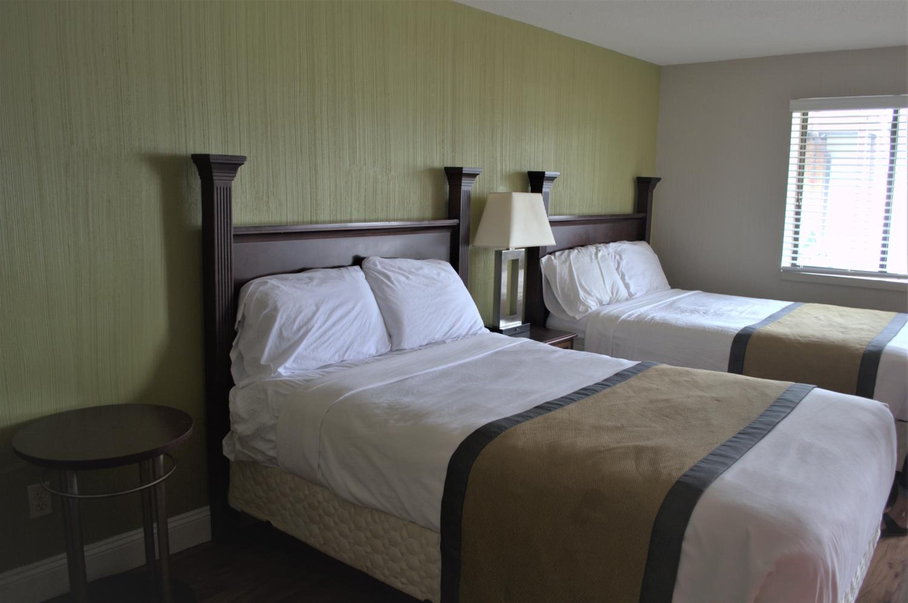 Carrier Motor Lodge - Property Image 31