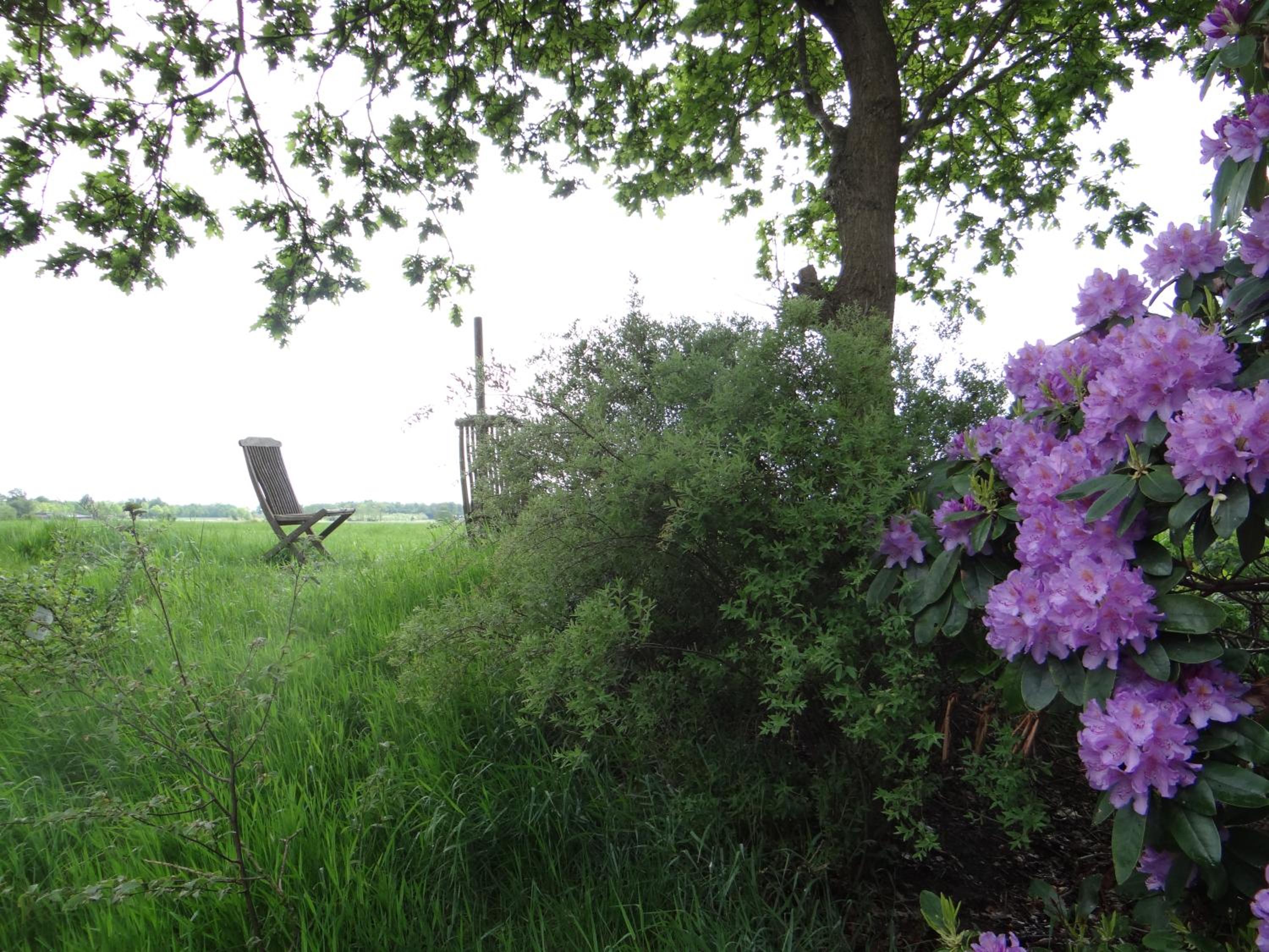 Photo 32