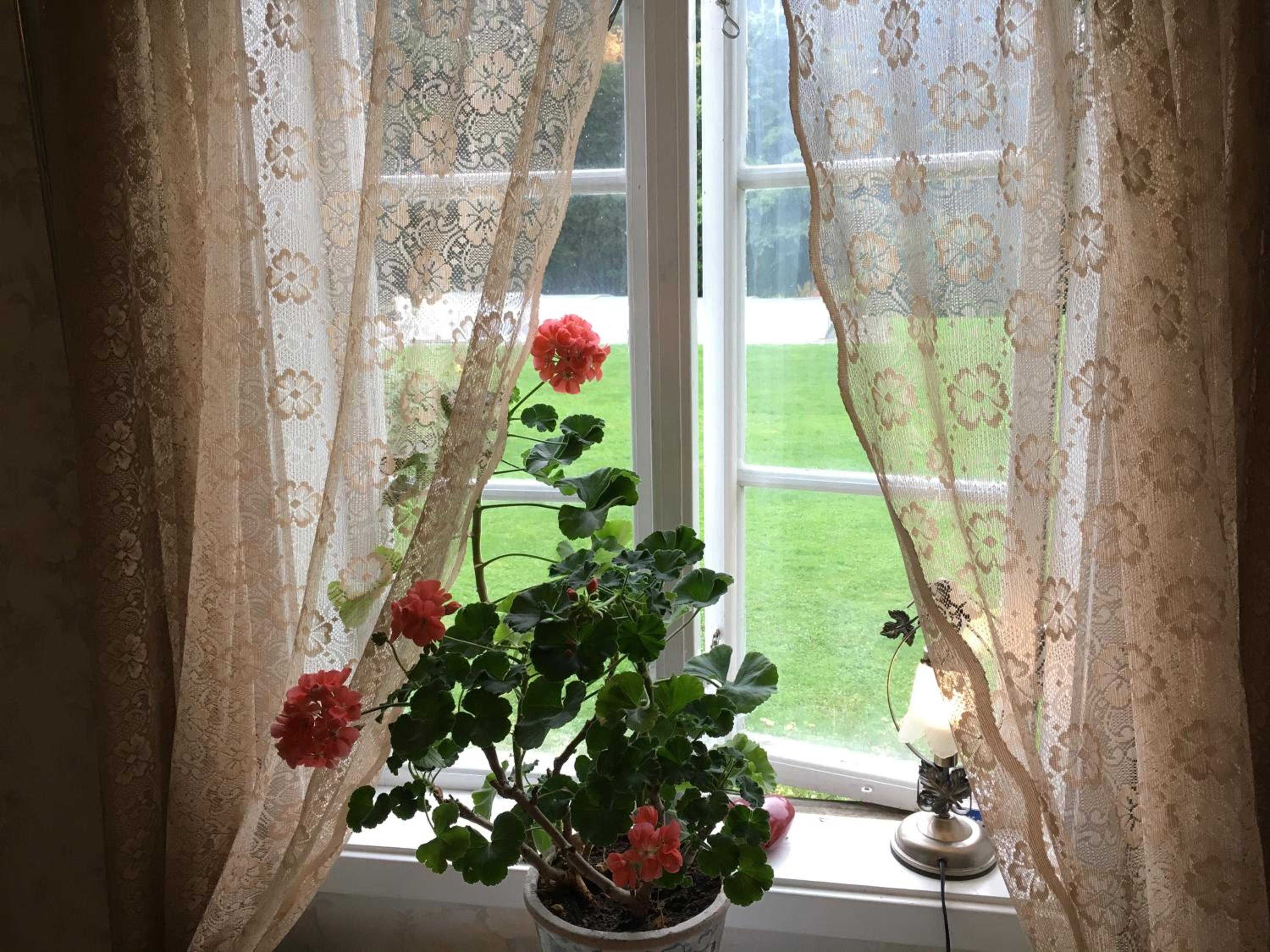 Berte Bed&Breakfast