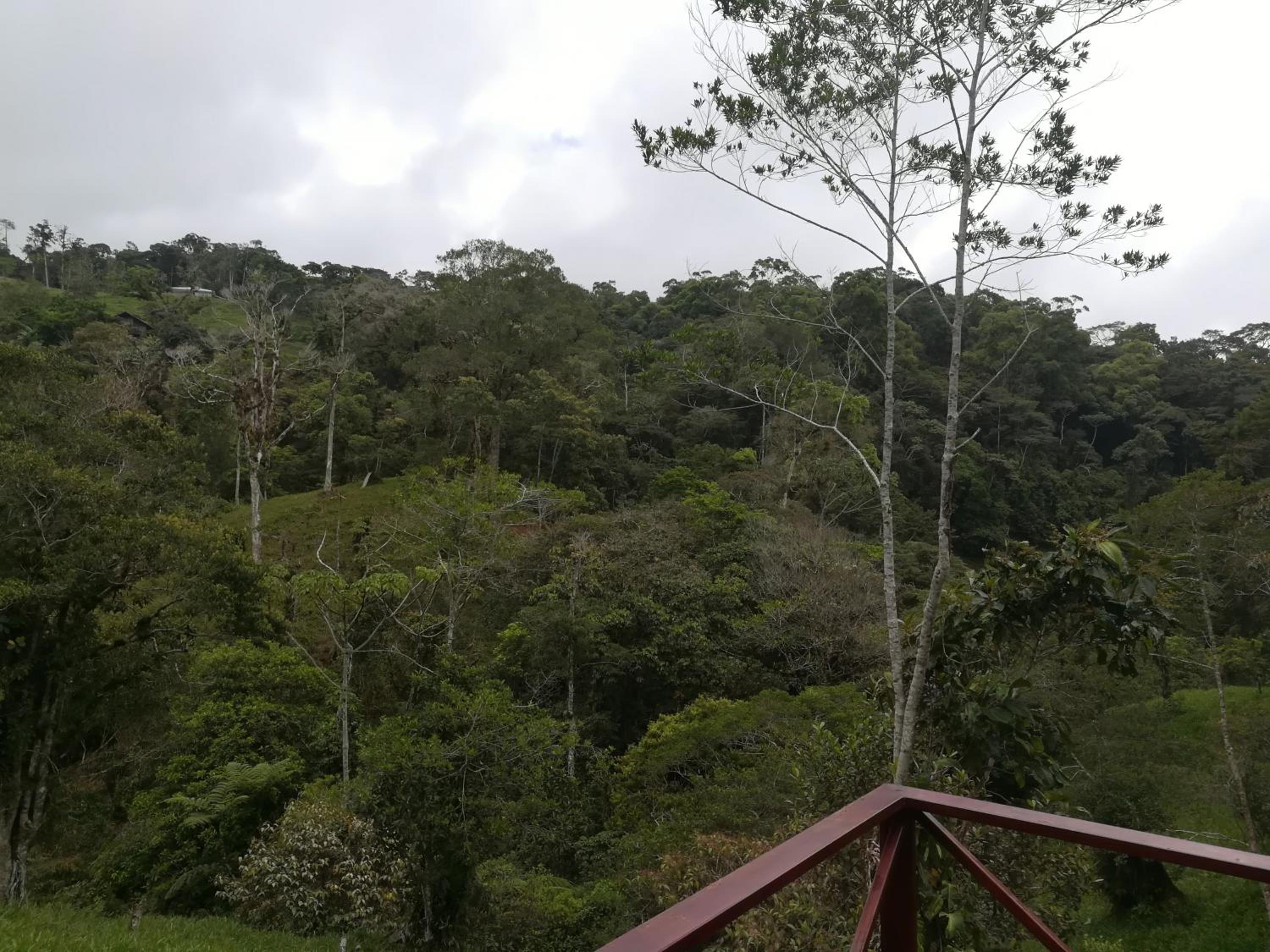 Quinta los volcanes