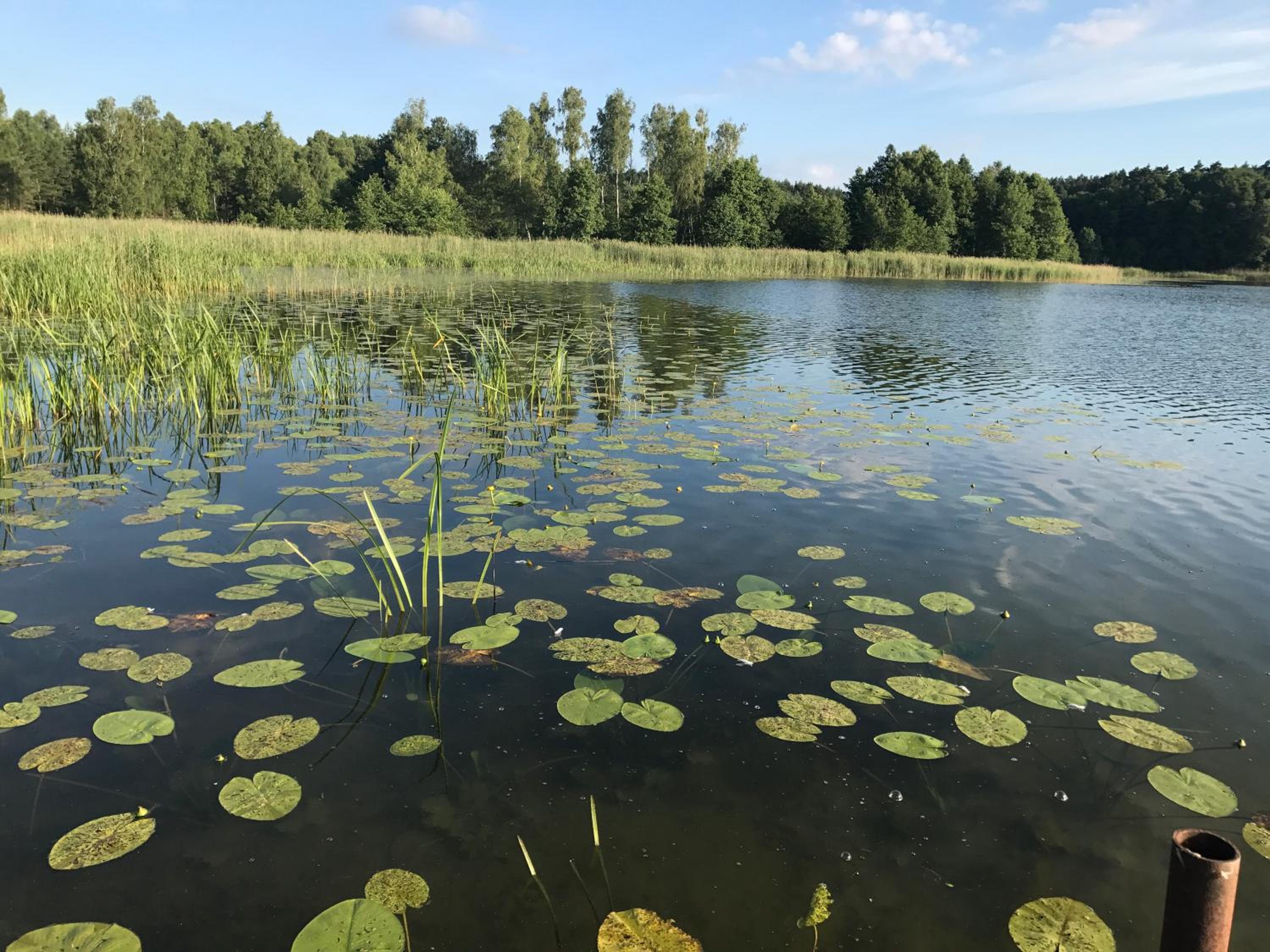Dom Natura