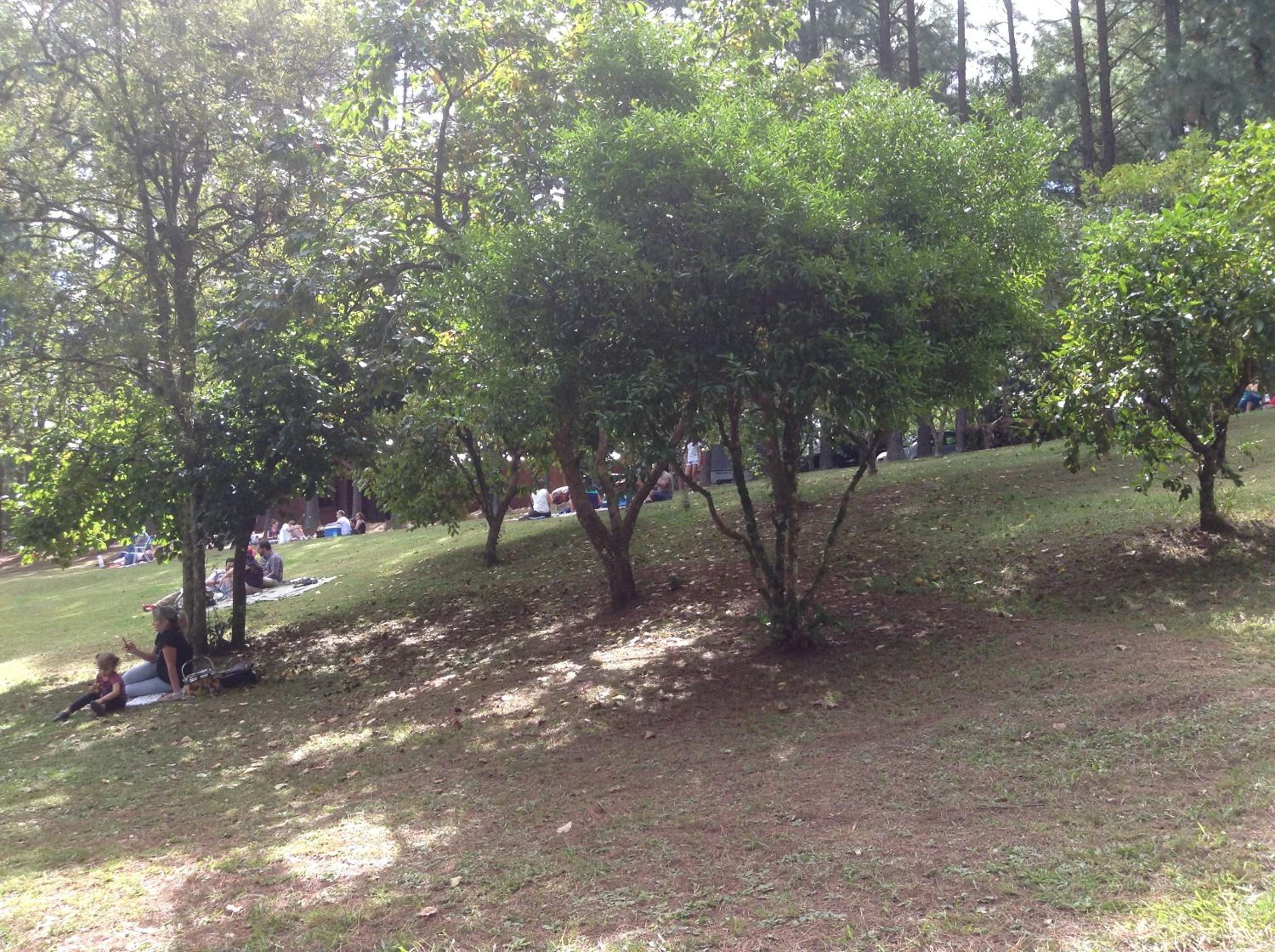 Photo 49