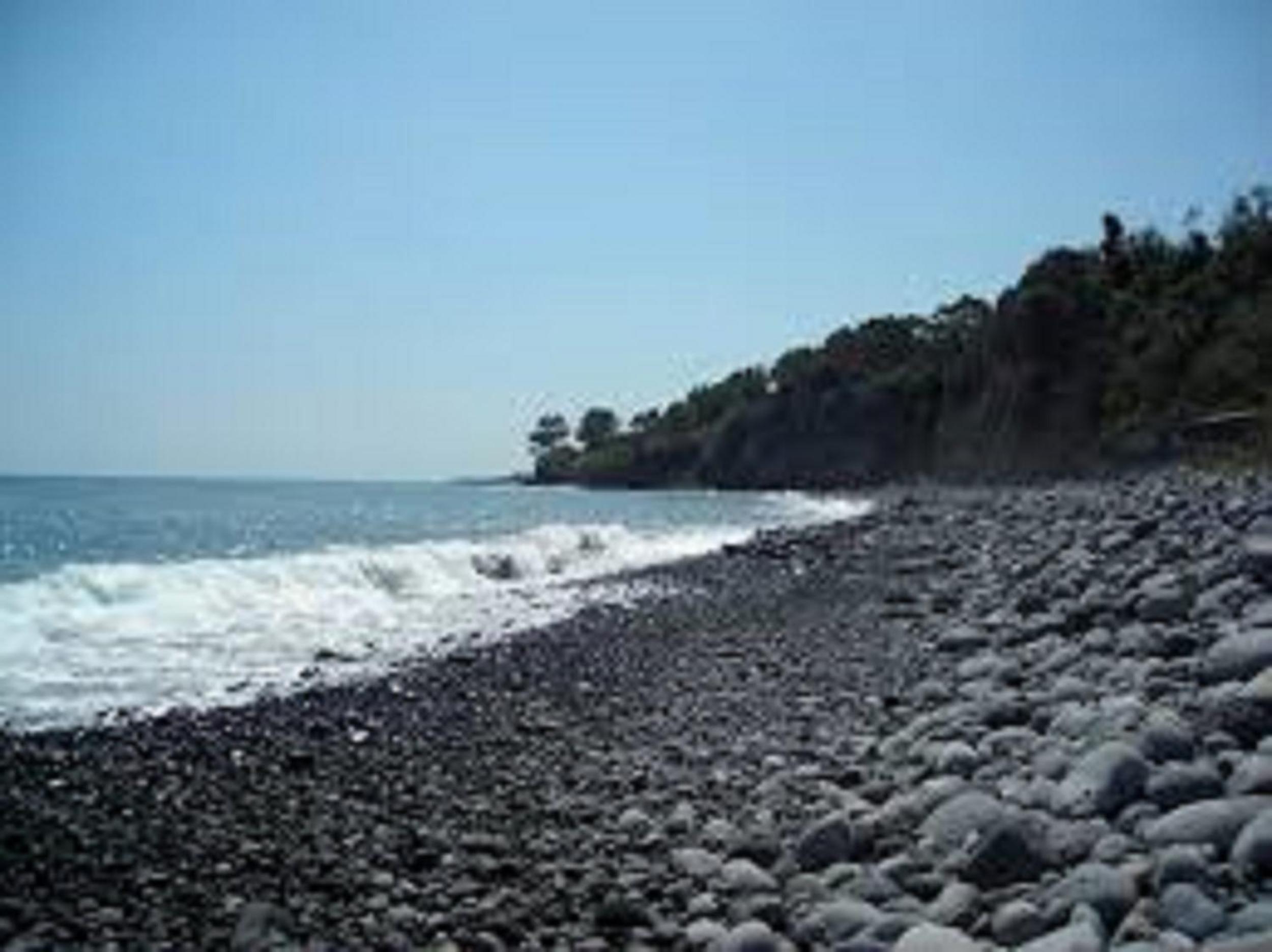 Photo 48