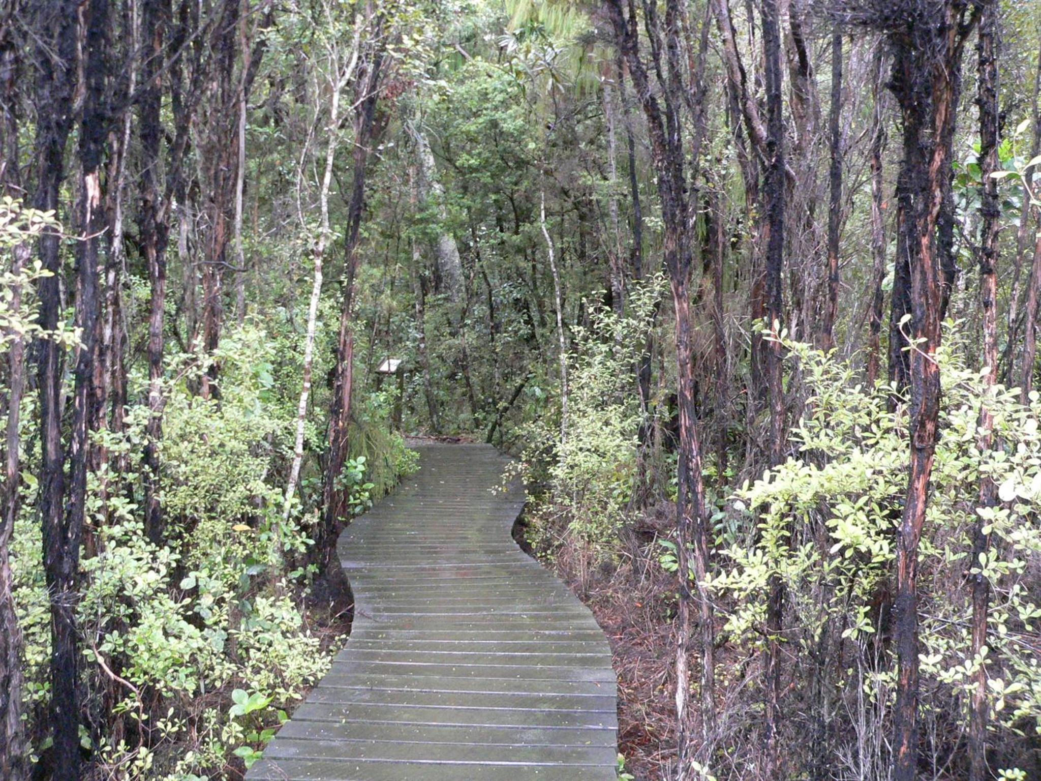 Surat Bay Lodge, Motel and Backpackers
