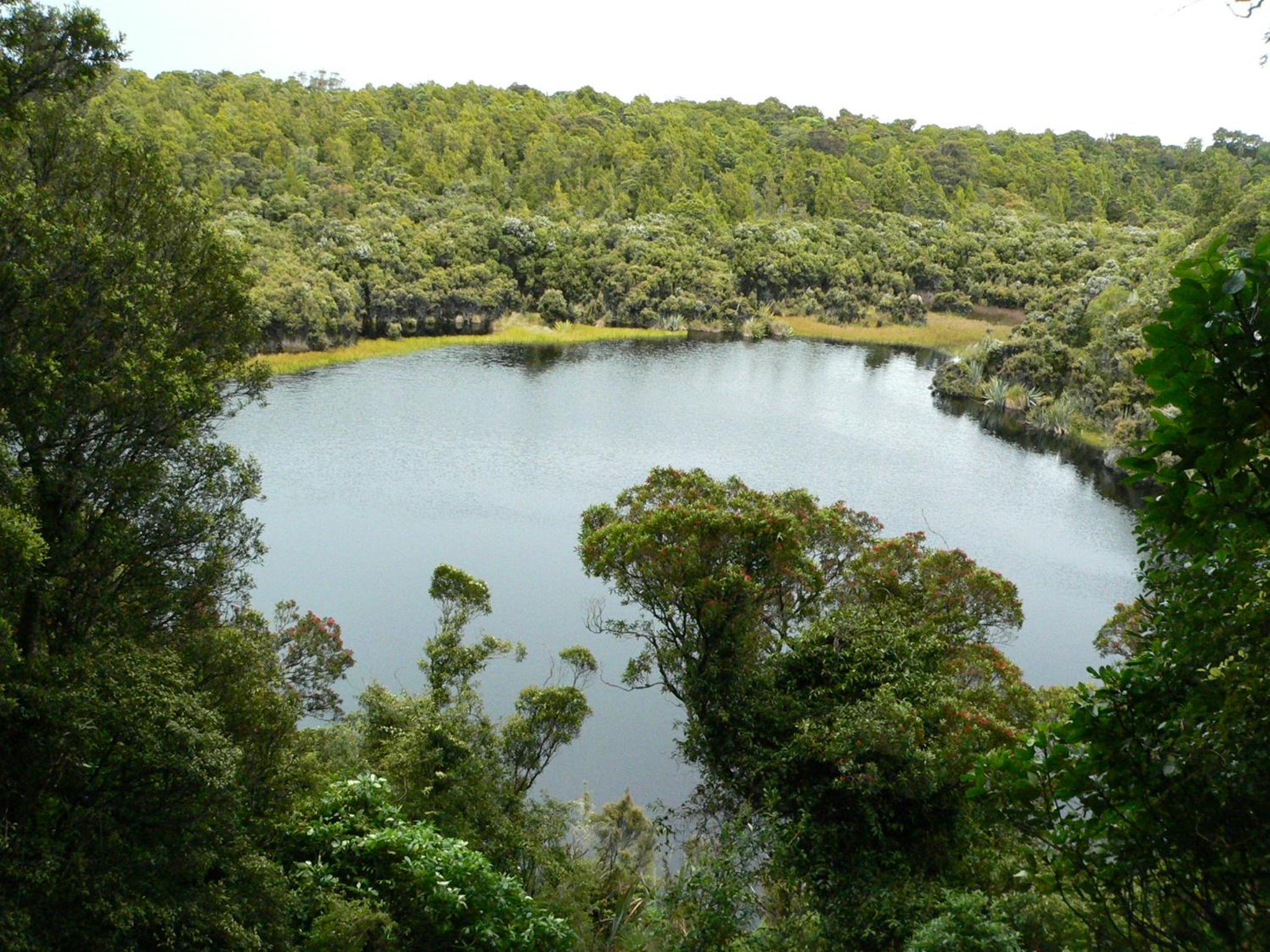 Surat Bay Lodge, Motel and Backpackers