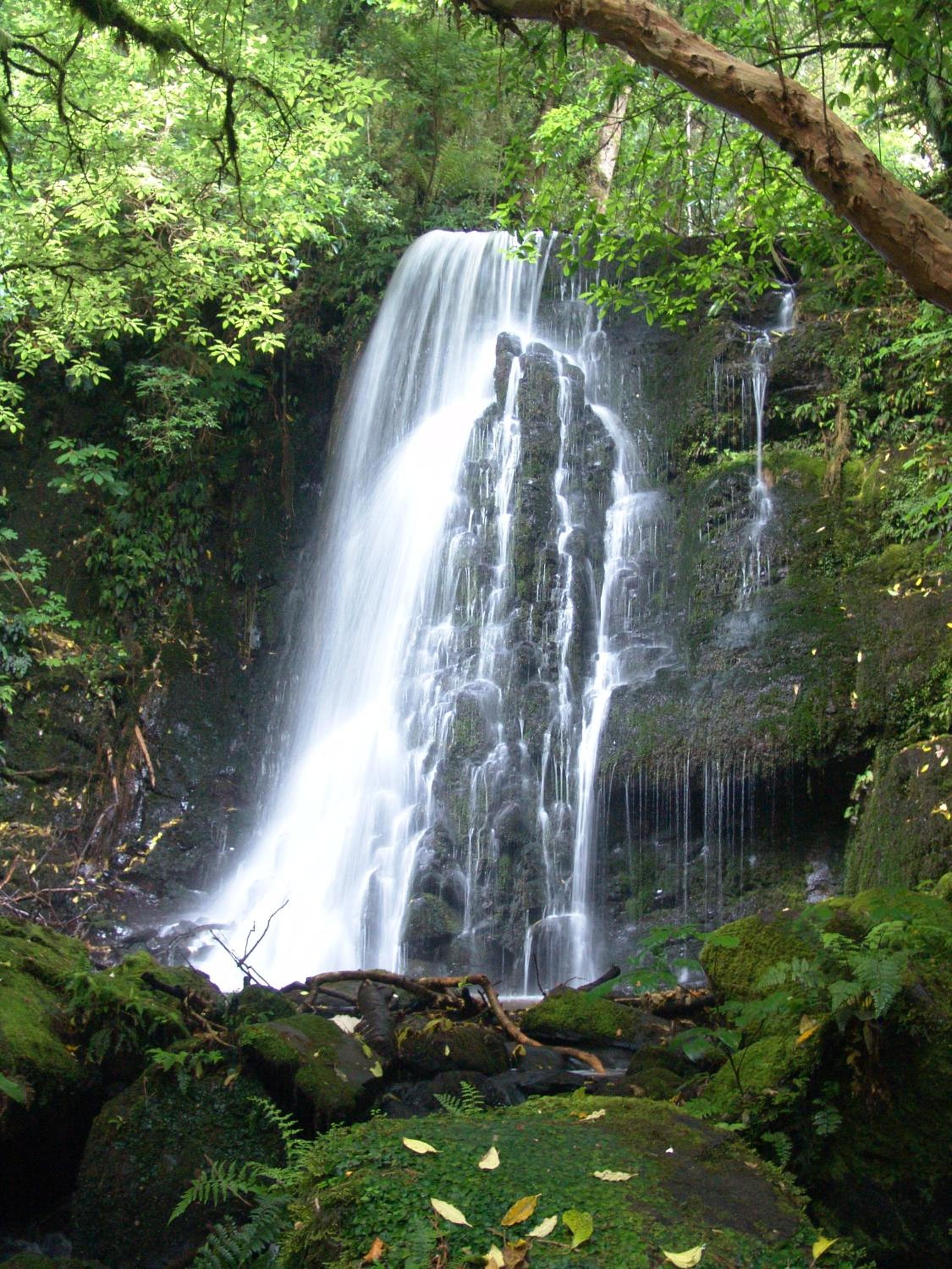 Surat Bay Lodge, Motel and Backpackers