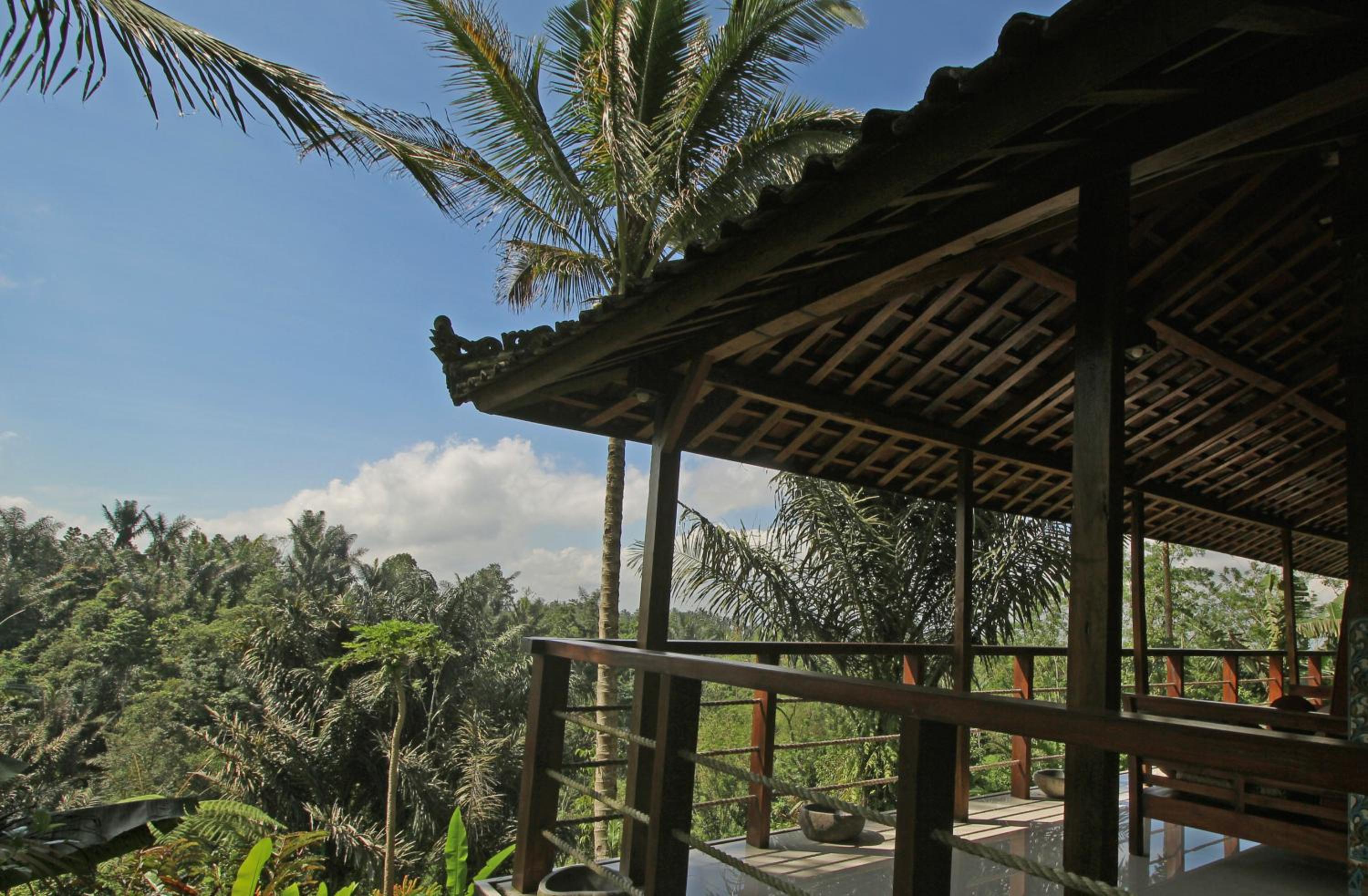 Alassari Plantation