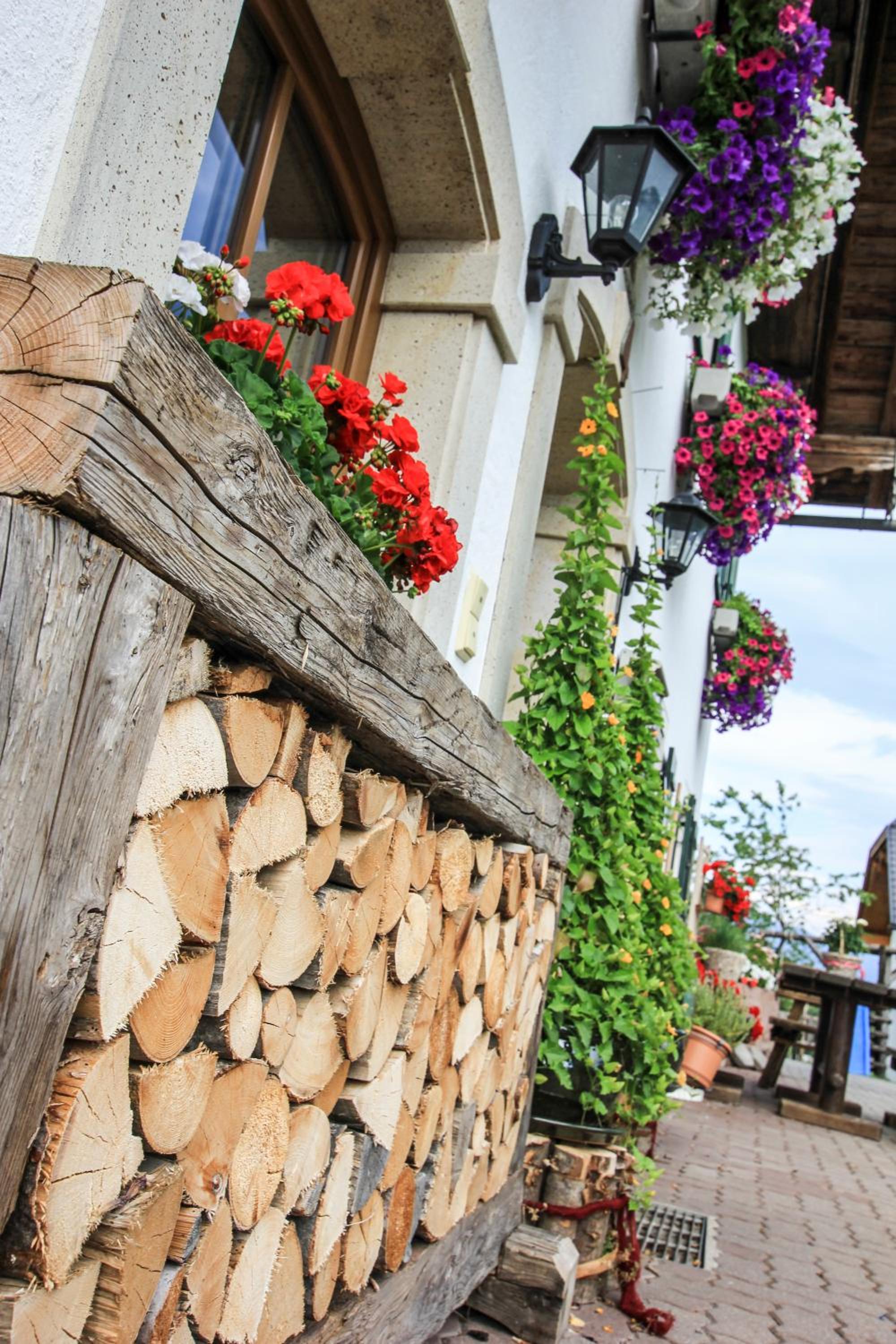 Weinbachbauer - Urlaub am Bauernhof