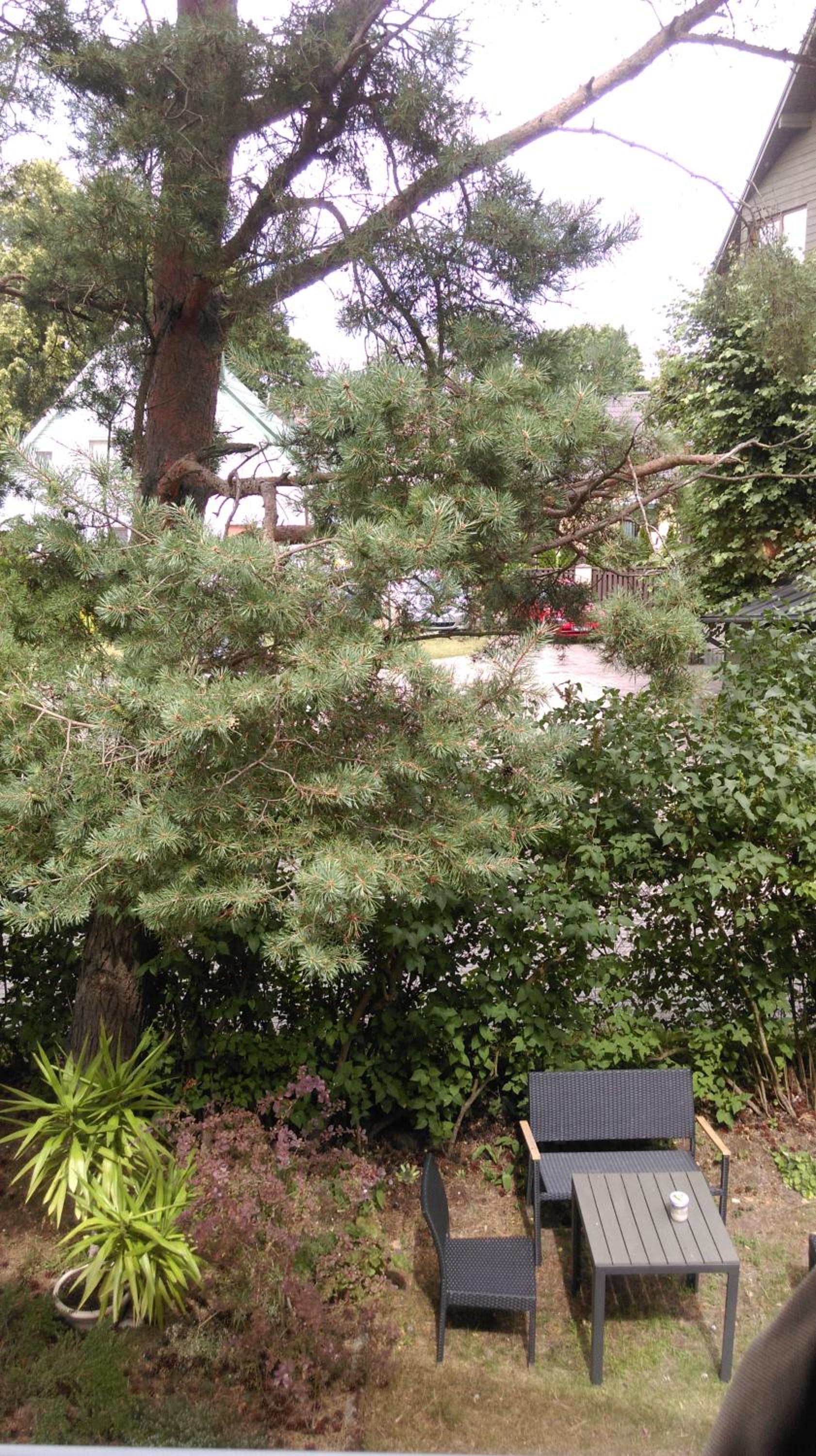Photo 48