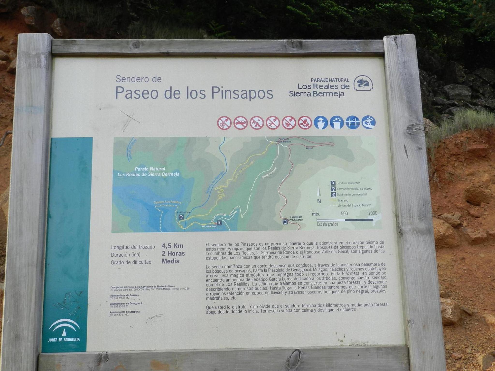 Photo 33