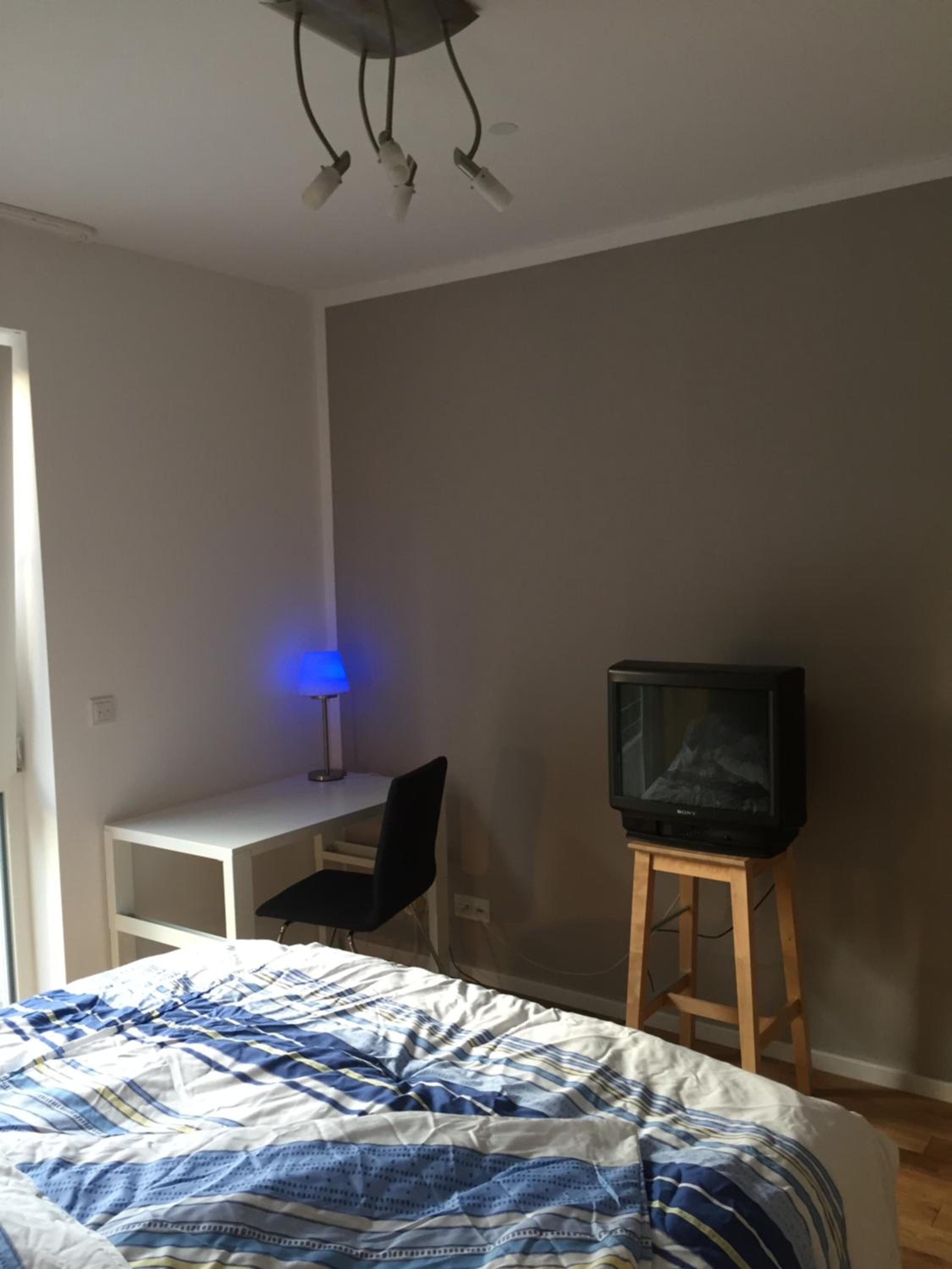 Photo 19