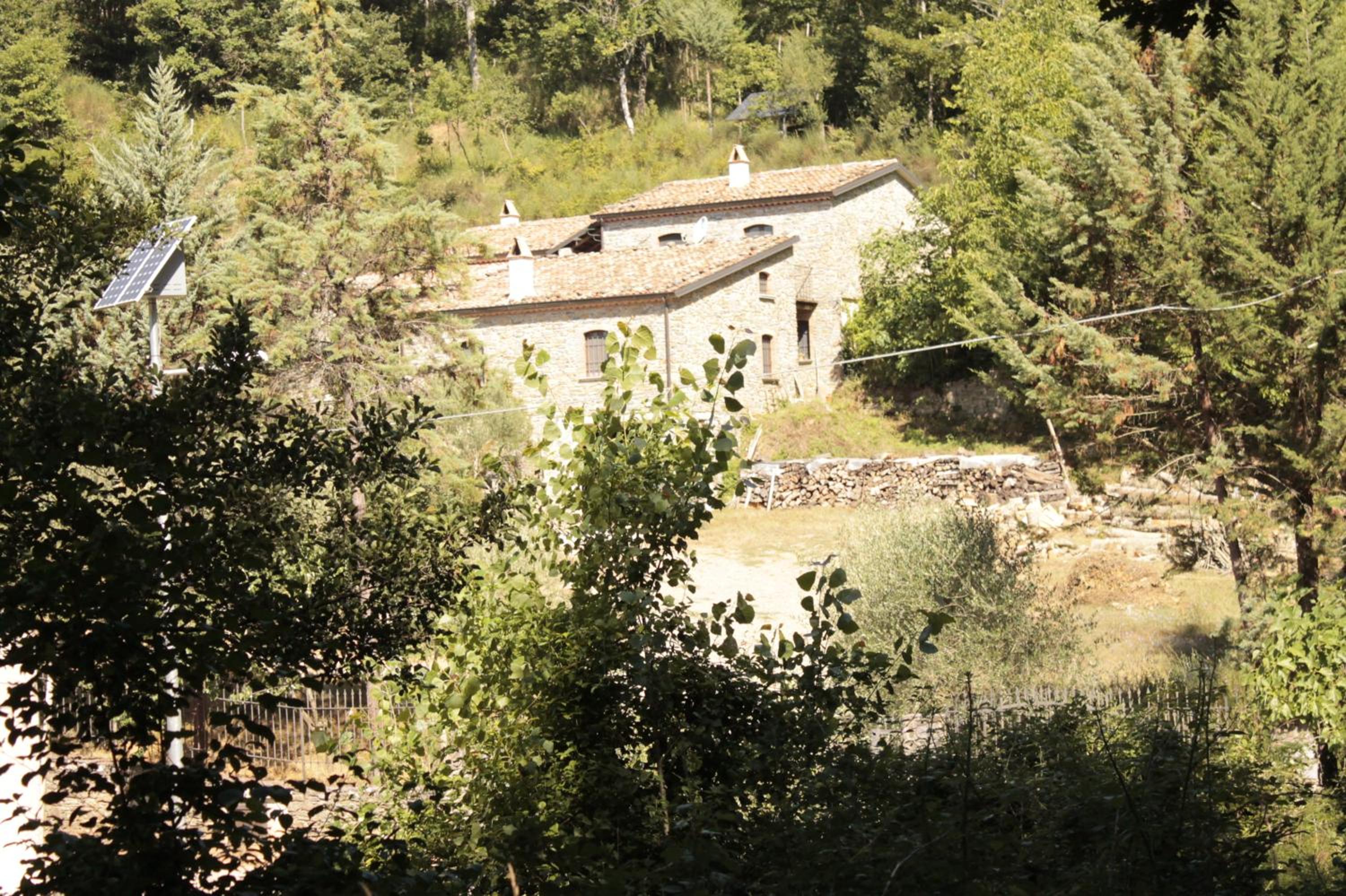 Photo 21