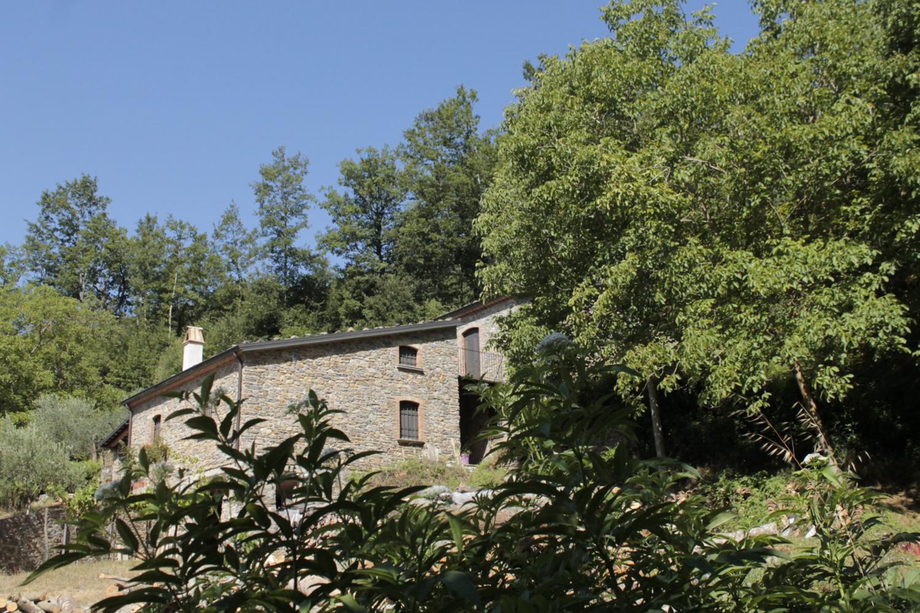 Photo 20