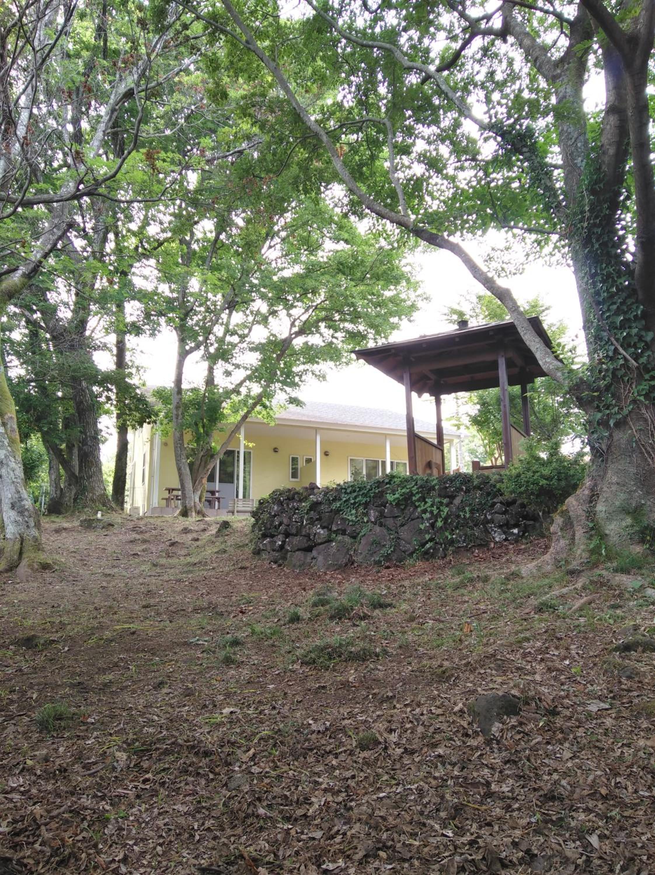 Hale Ilio