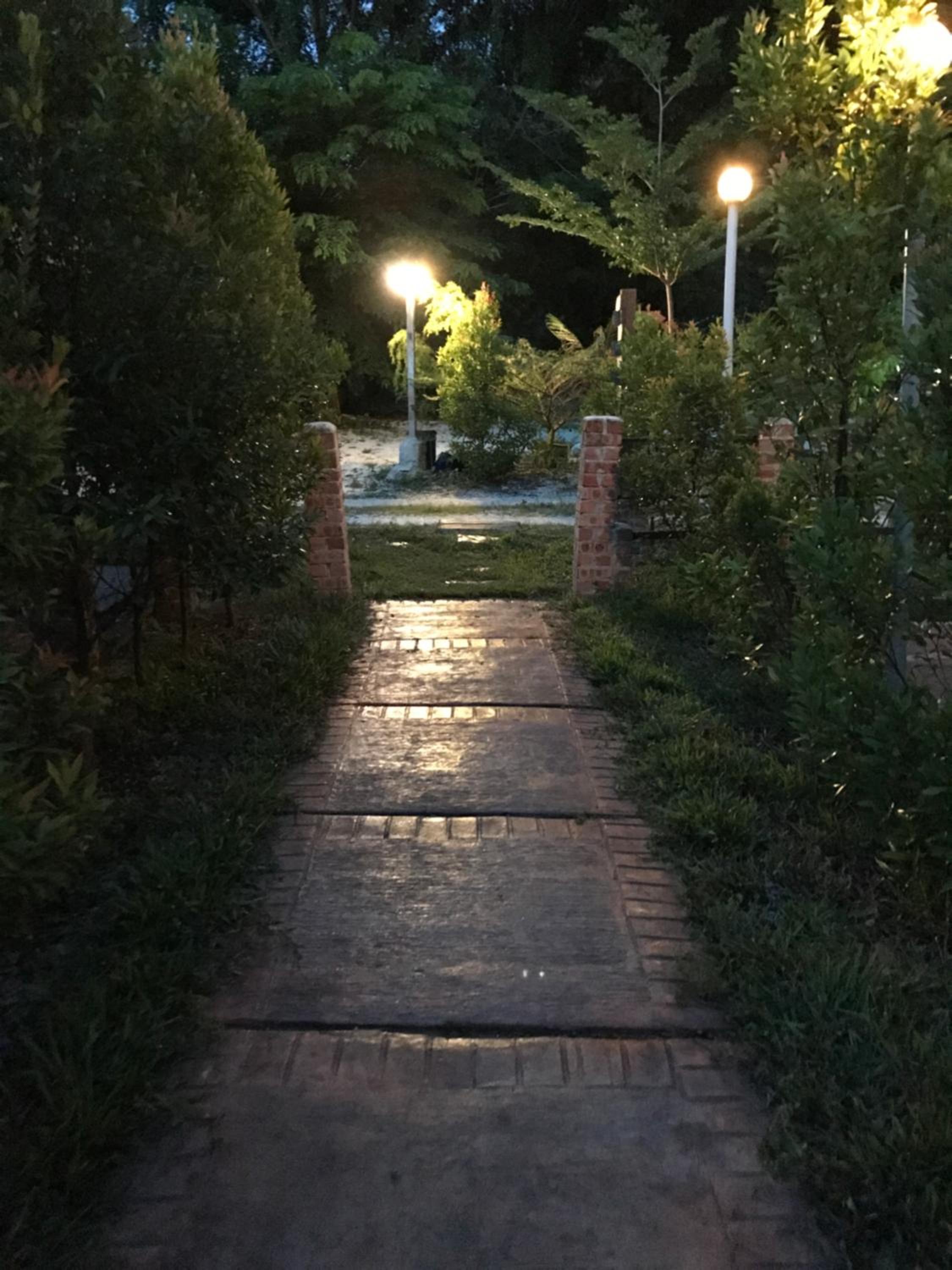 Photo 41