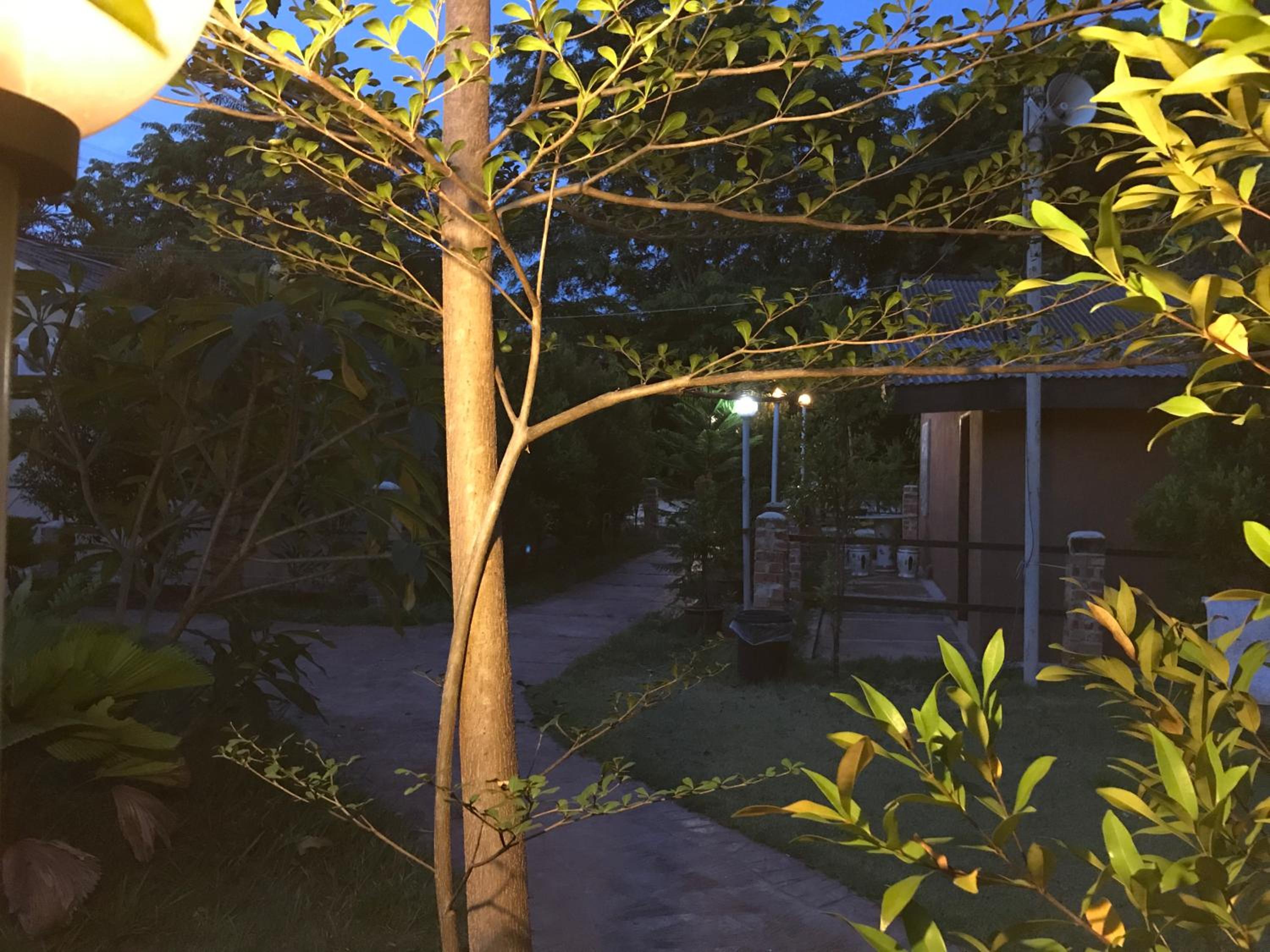 Photo 42
