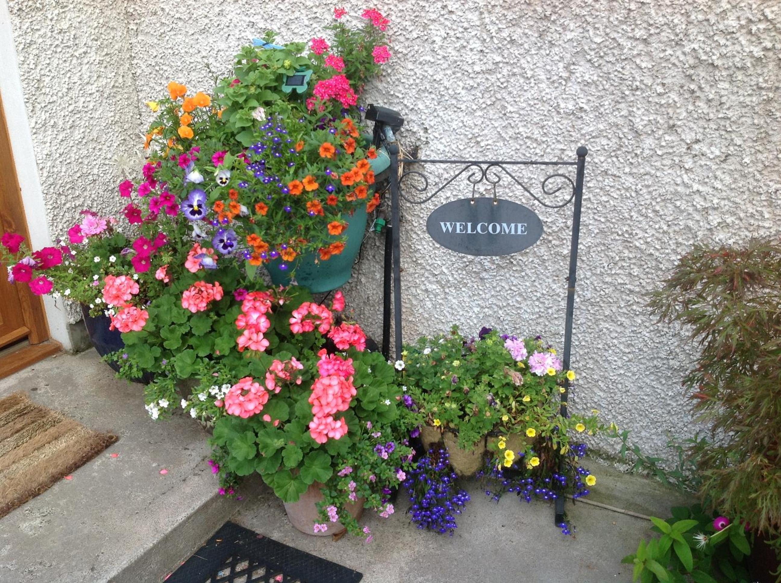 Furan GuestHouse