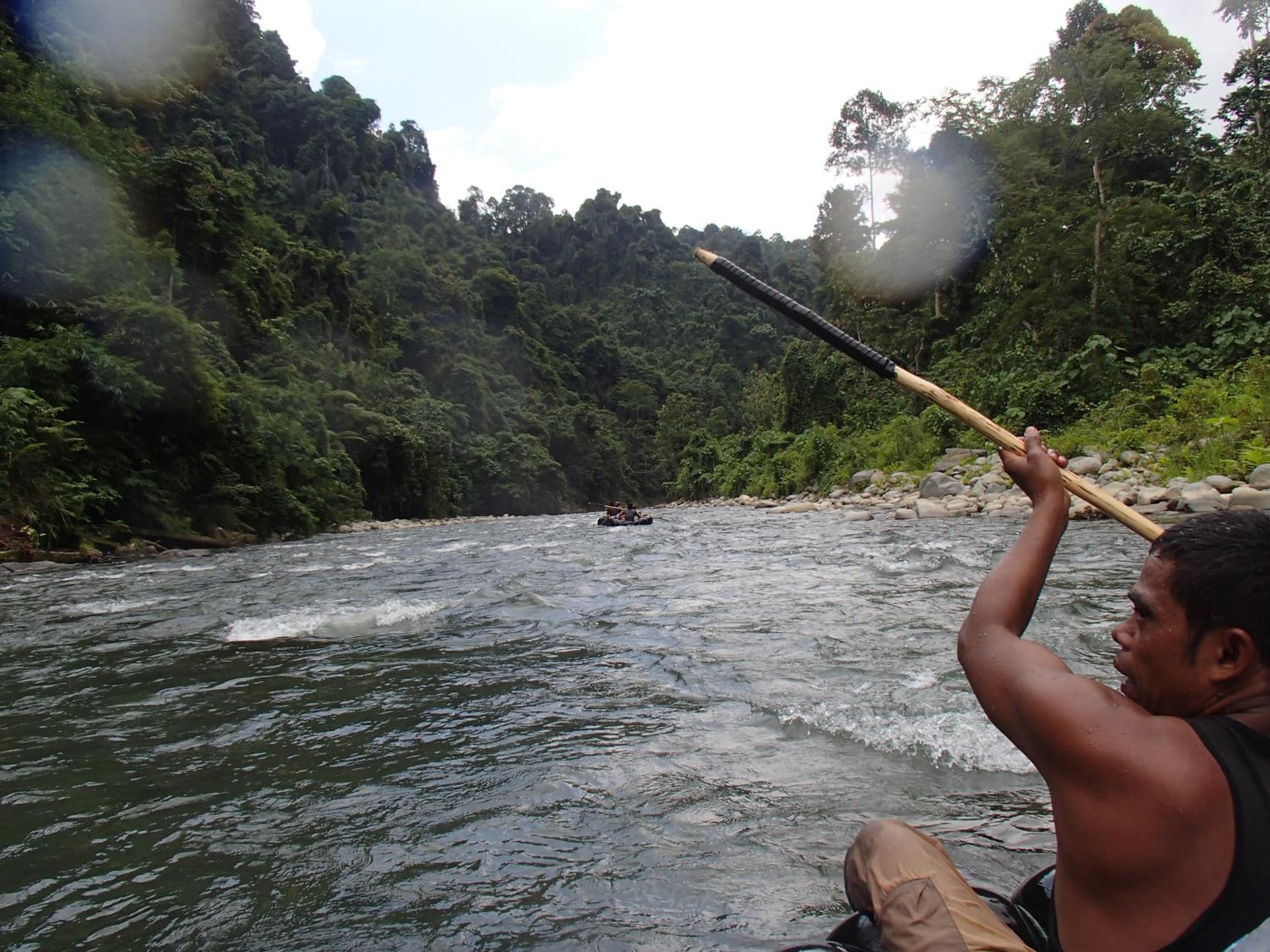 Fidodido Guesthouse Jungle trekking only book with us if you stay on here