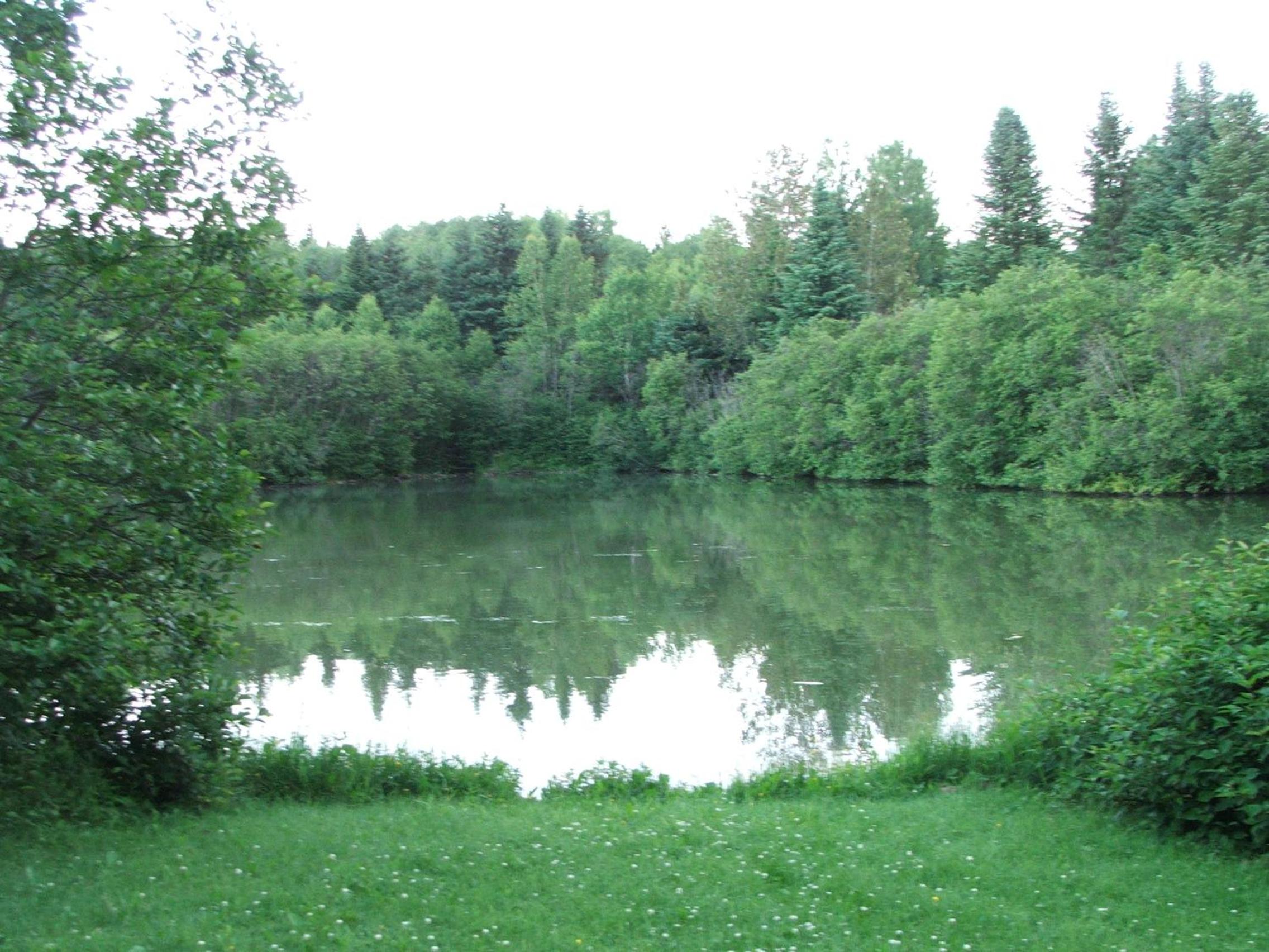 Bed and Breakfast Du Repos