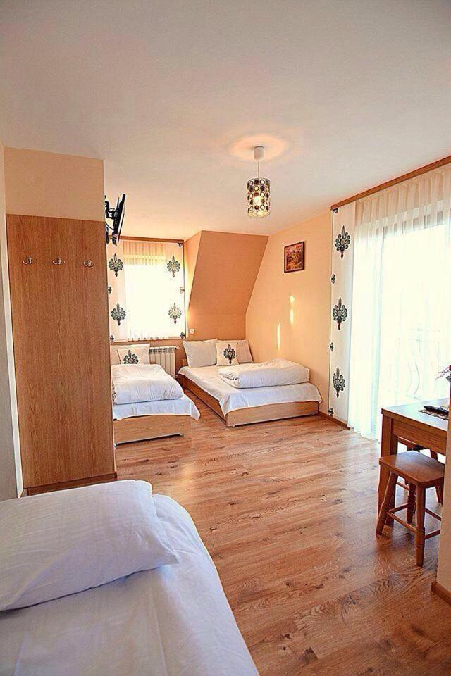 Willa Tatra House view 3