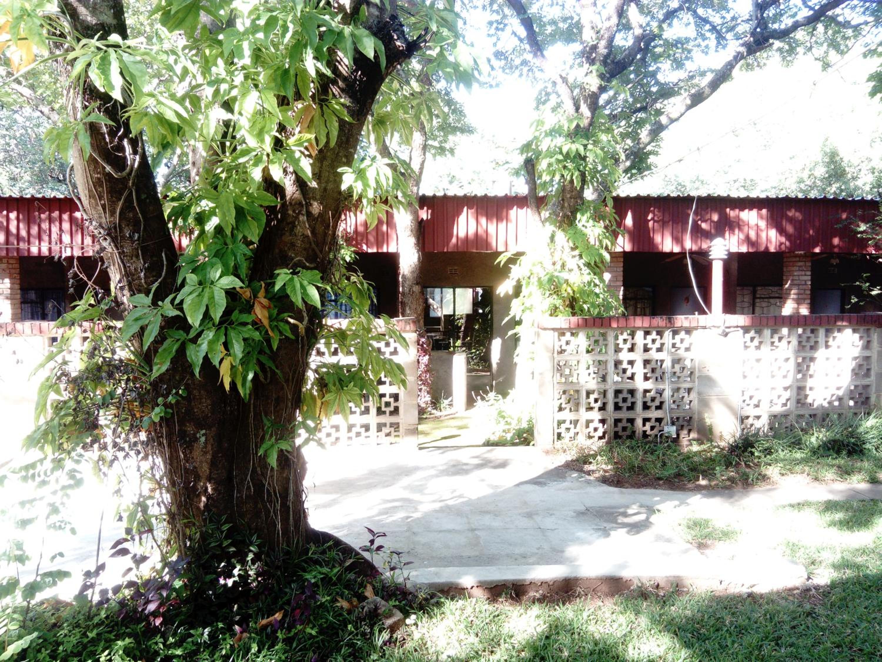Photo 8