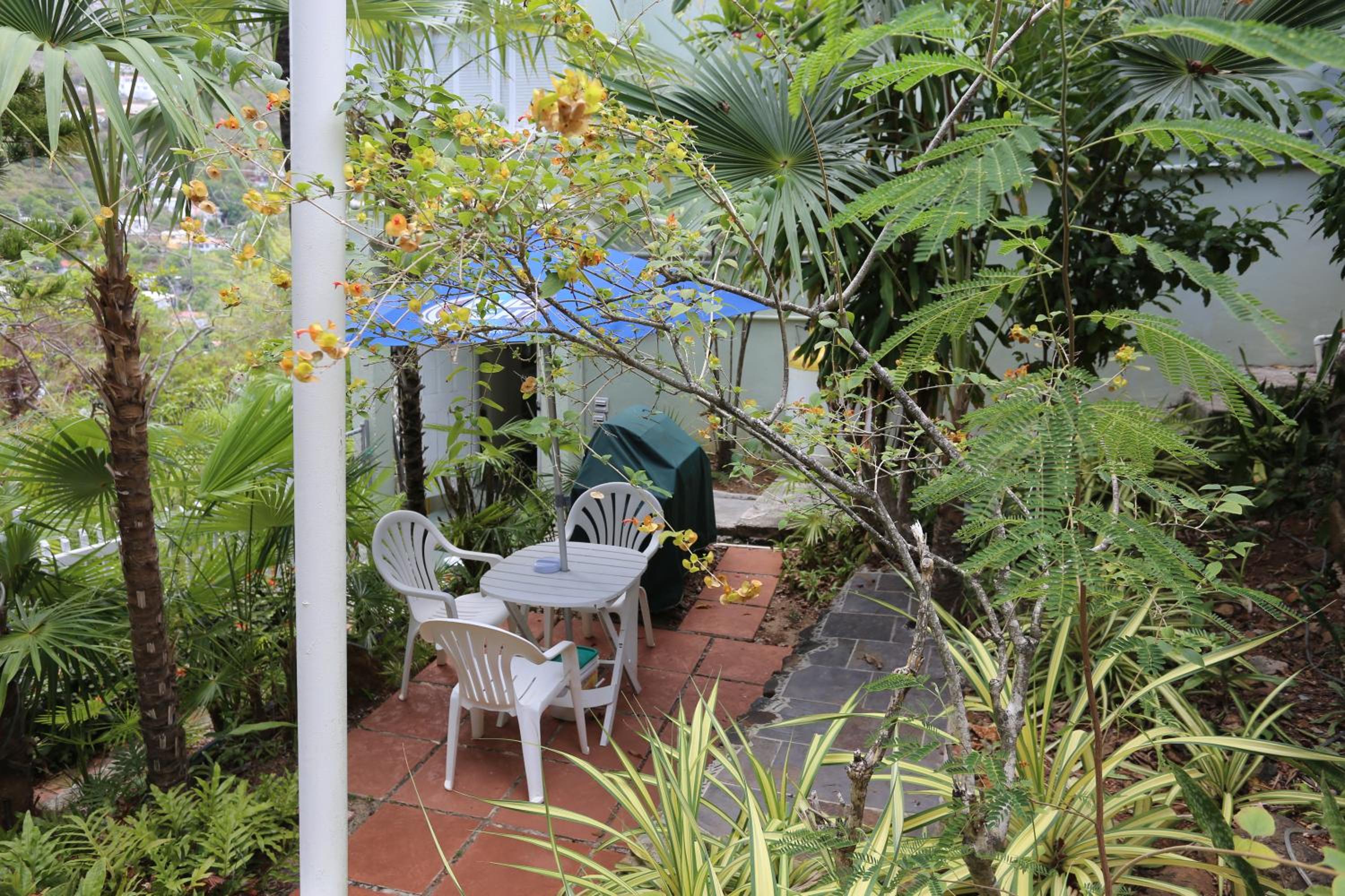 Photo 44