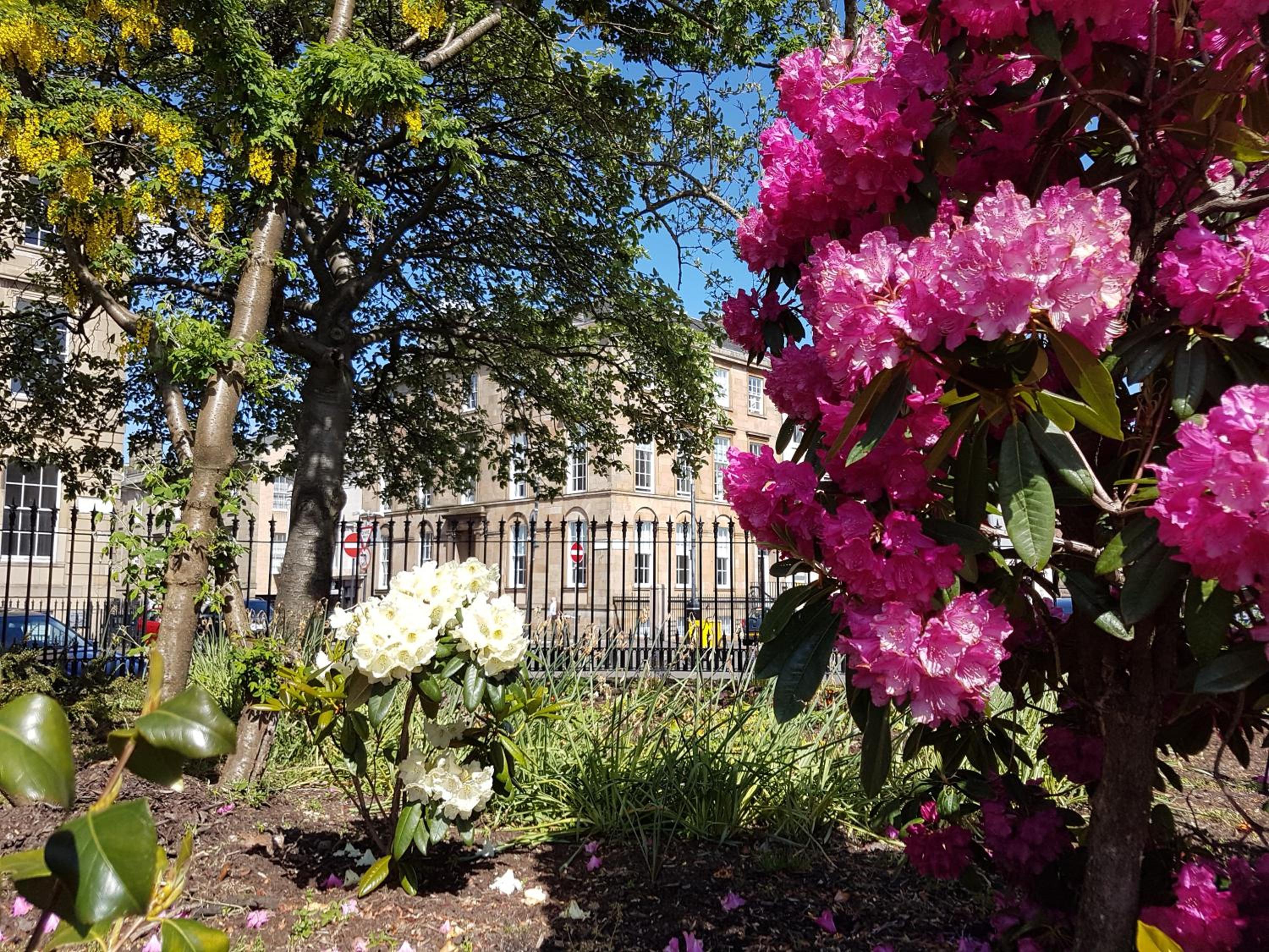 Blythswood Square Apartments